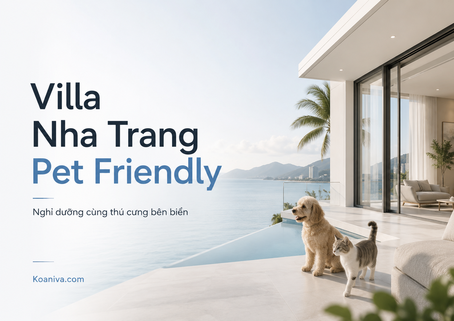 Villa Nha Trang pet friendly: Kinh nghiệm chọn, giá và cách đặt phù hợp