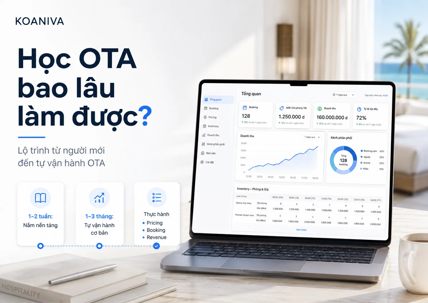Học OTA bao lâu làm được? Lộ trình 1–3 tháng cho người mới | Koaniva