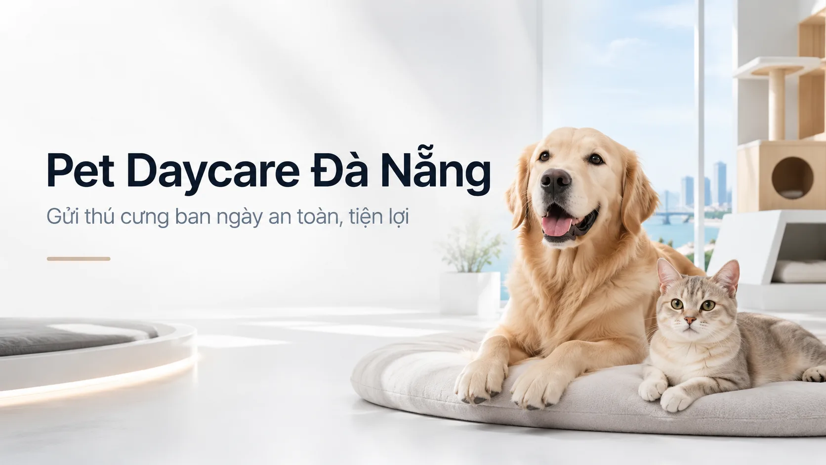 Pet daycare Đà Nẵng: Hướng dẫn chọn nơi giữ thú cưng ban ngày an toàn, phù hợp