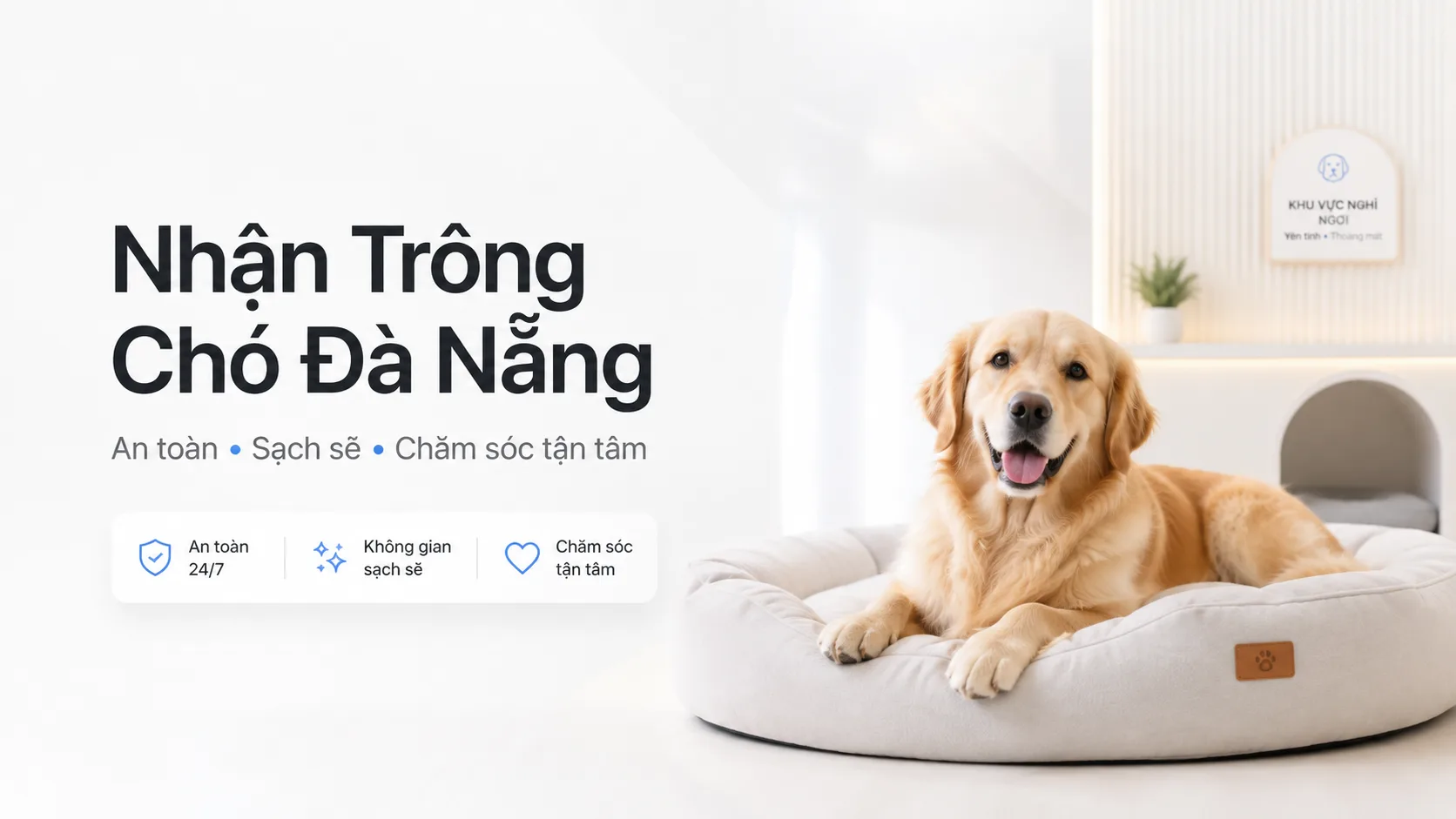Nhận trông chó Đà Nẵng: Cách chọn nơi gửi an toàn, sạch và phù hợp