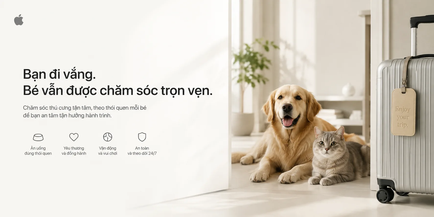 Chăm sóc thú cưng khi chủ đi vắng: hướng dẫn an toàn và ít xáo trộn