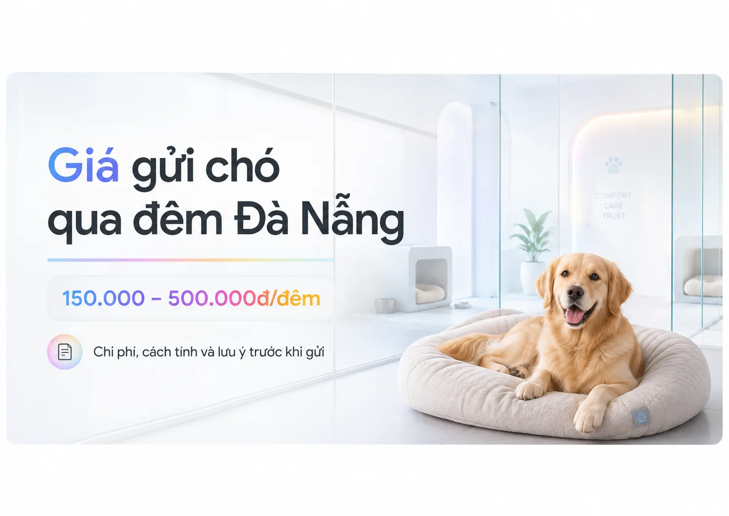 Giá gửi chó qua đêm Đà Nẵng: Chi phí, cách tính và kinh nghiệm chọn nơi gửi