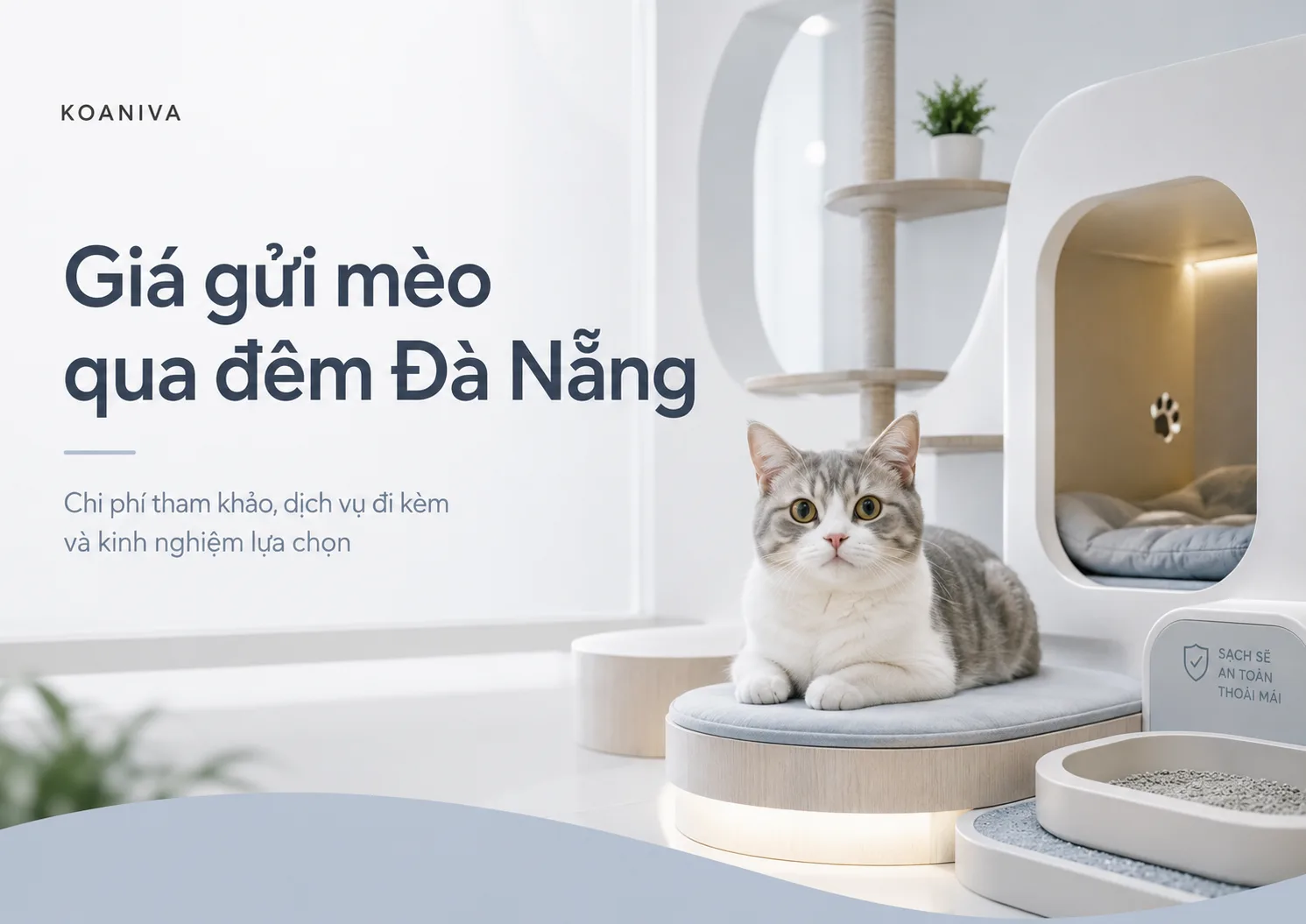 Giá gửi mèo qua đêm Đà Nẵng: Chi phí, gói dịch vụ và kinh nghiệm lựa chọn