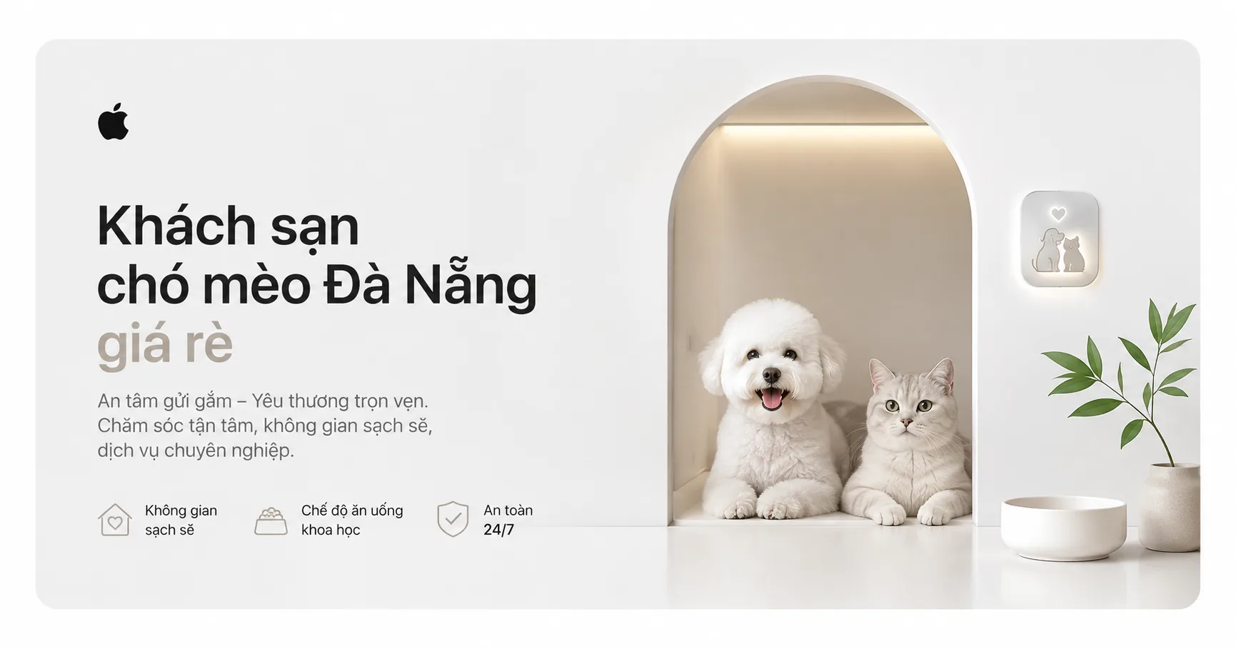 Khách sạn chó mèo Đà Nẵng giá rẻ: Cách chọn nơi gửi an toàn, hợp ngân sách