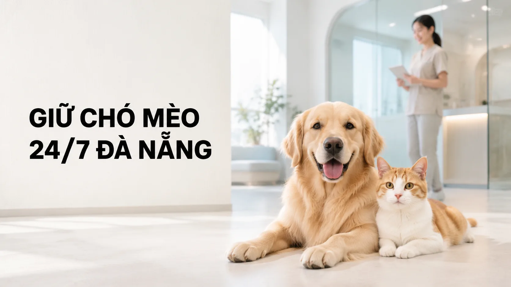 Giữ chó mèo 24/7 Đà Nẵng: Cách chọn nơi chăm sóc an toàn