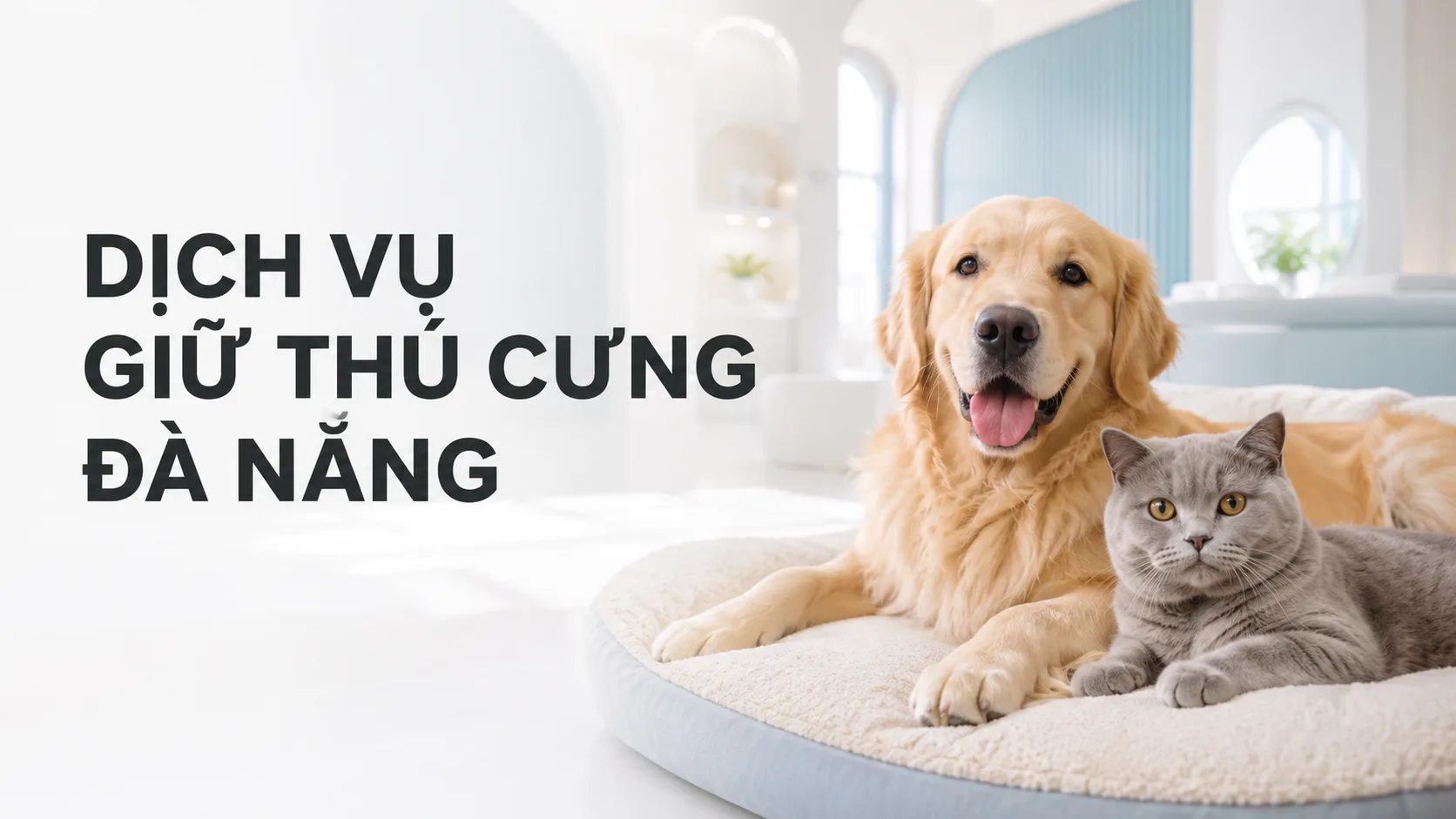 Dịch vụ giữ thú cưng Đà Nẵng: Kinh nghiệm chọn nơi an toàn