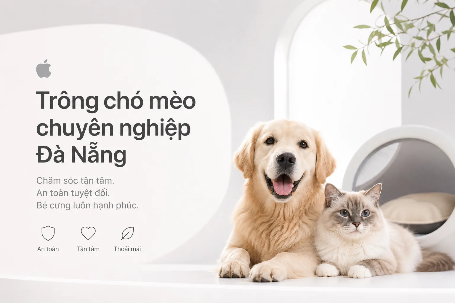 Trông chó mèo chuyên nghiệp Đà Nẵng – Chăm sóc an toàn, đúng nhu cầu