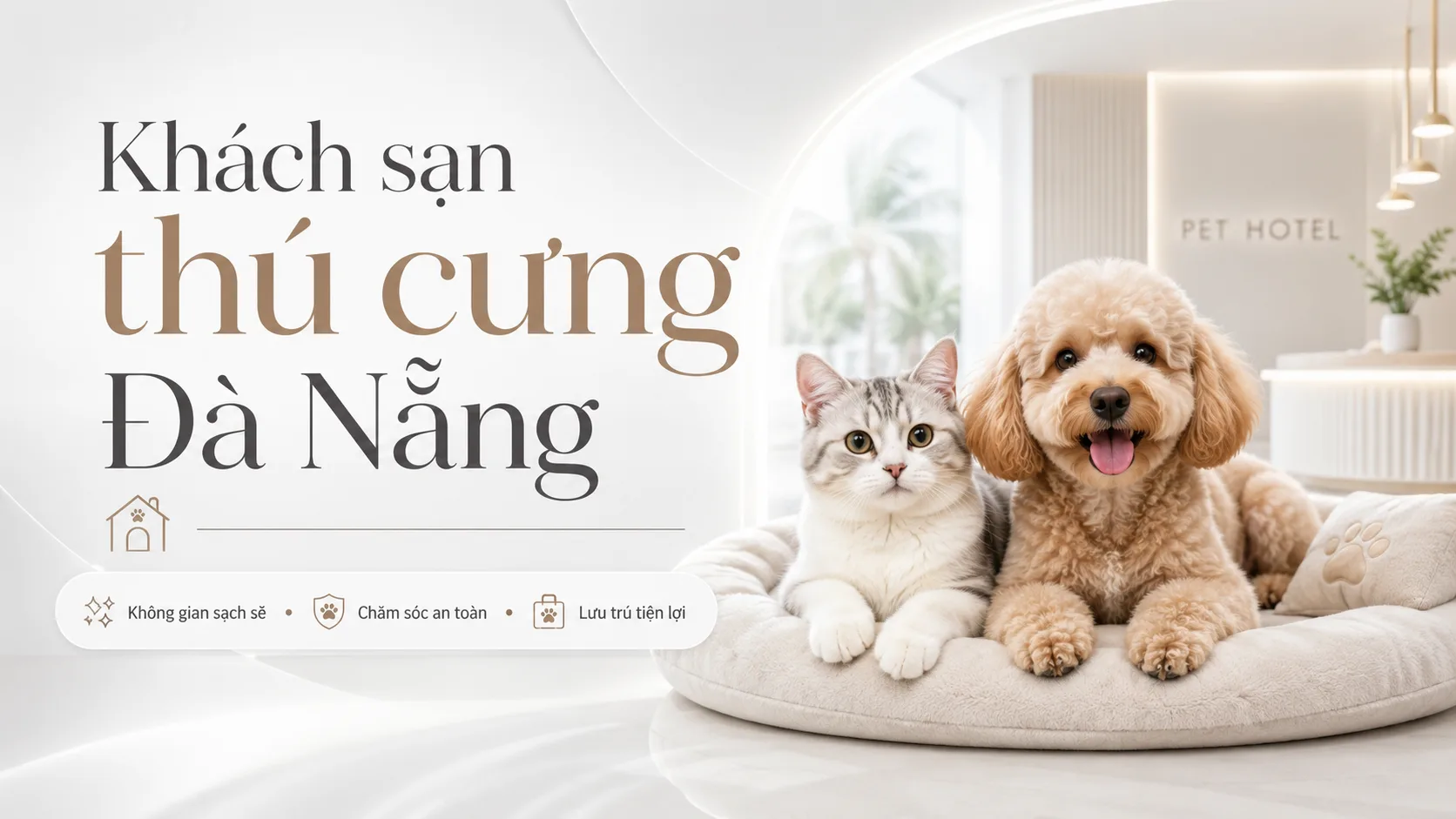 Khách sạn thú cưng Đà Nẵng: kinh nghiệm chọn nơi gửi chó mèo an toàn