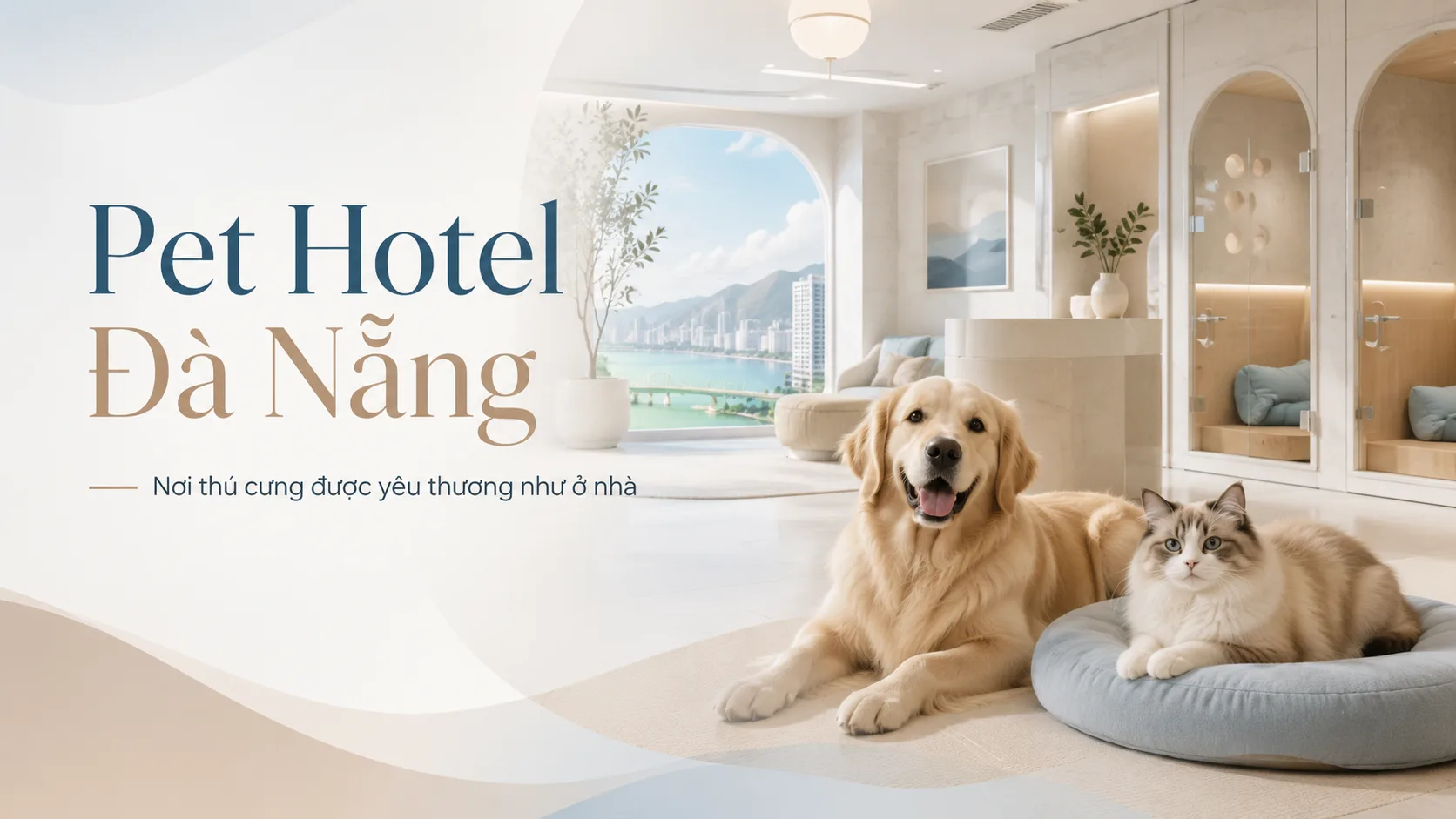 Pet hotel Đà Nẵng: Kinh nghiệm chọn nơi gửi chó mèo an toàn và phù hợp