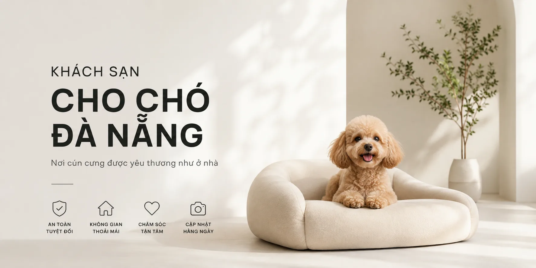 Khách sạn cho chó Đà Nẵng: Cách chọn nơi gửi cún an toàn, sạch sẽ và phù hợp