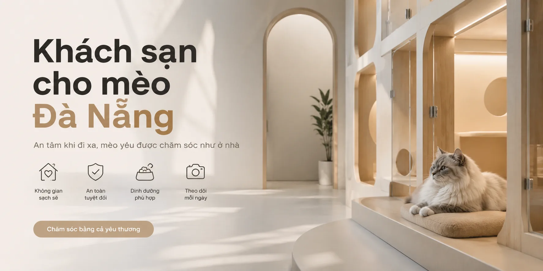Khách sạn cho mèo Đà Nẵng: Hướng dẫn chọn nơi gửi mèo an toàn, sạch sẽ và phù hợp