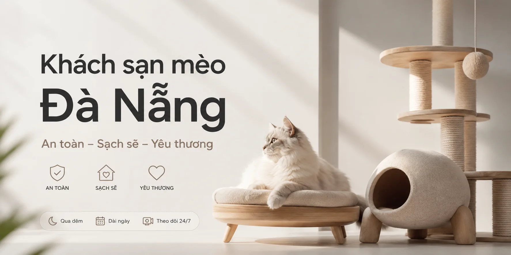 Khách sạn mèo Đà Nẵng: cách chọn nơi gửi mèo an toàn, sạch và ít stress