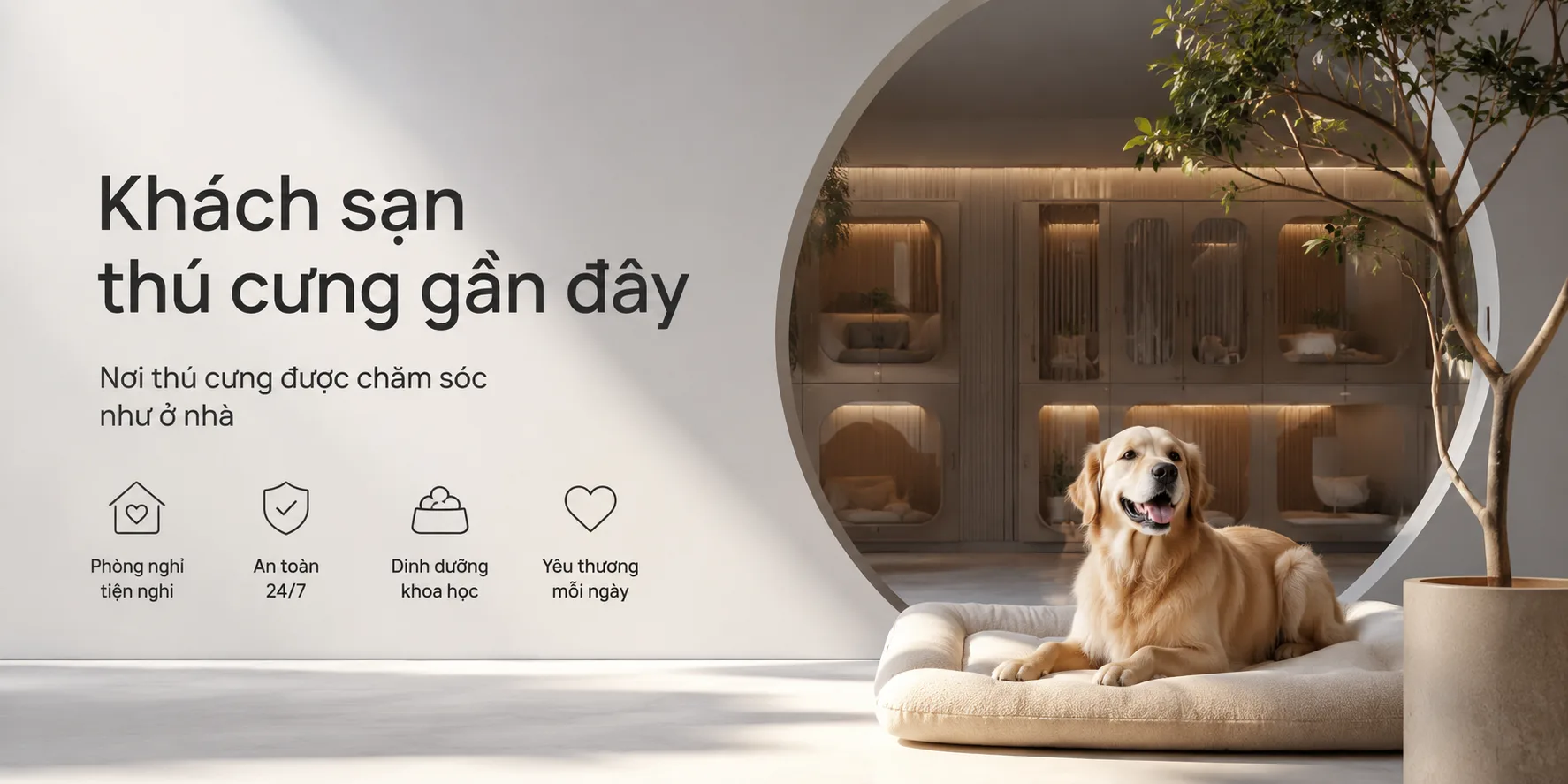 Khách sạn thú cưng gần đây: cách tìm nơi gửi chó mèo an toàn và phù hợp