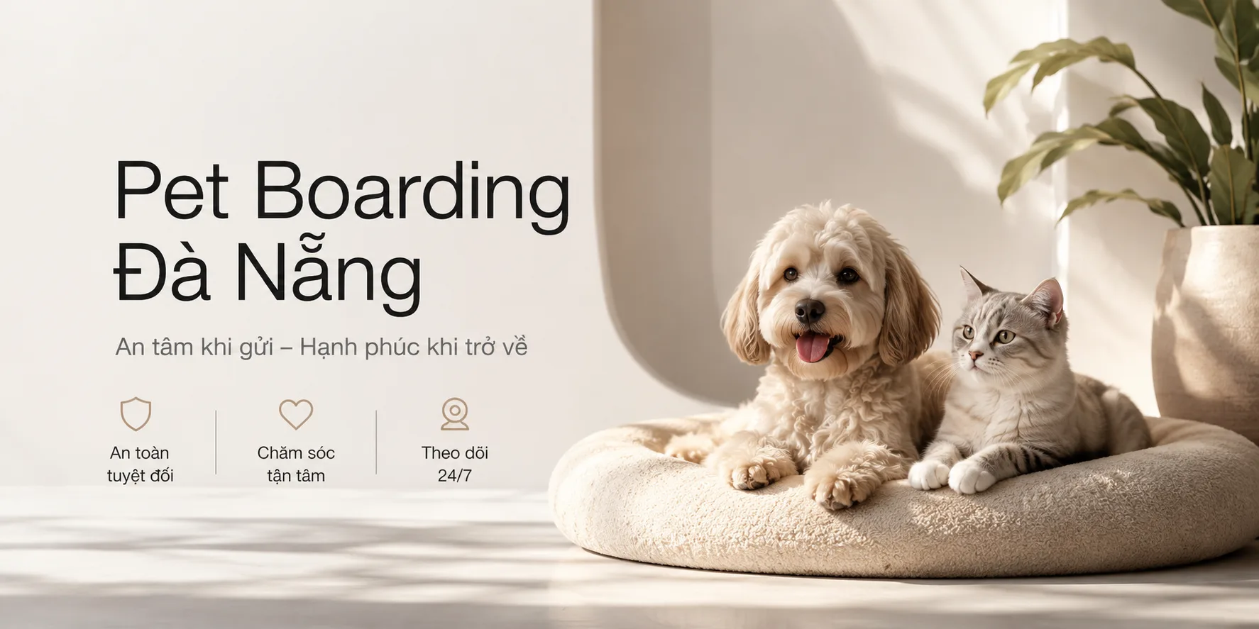 Pet boarding Đà Nẵng: Hướng dẫn chọn nơi gửi chó mèo an toàn, phù hợp