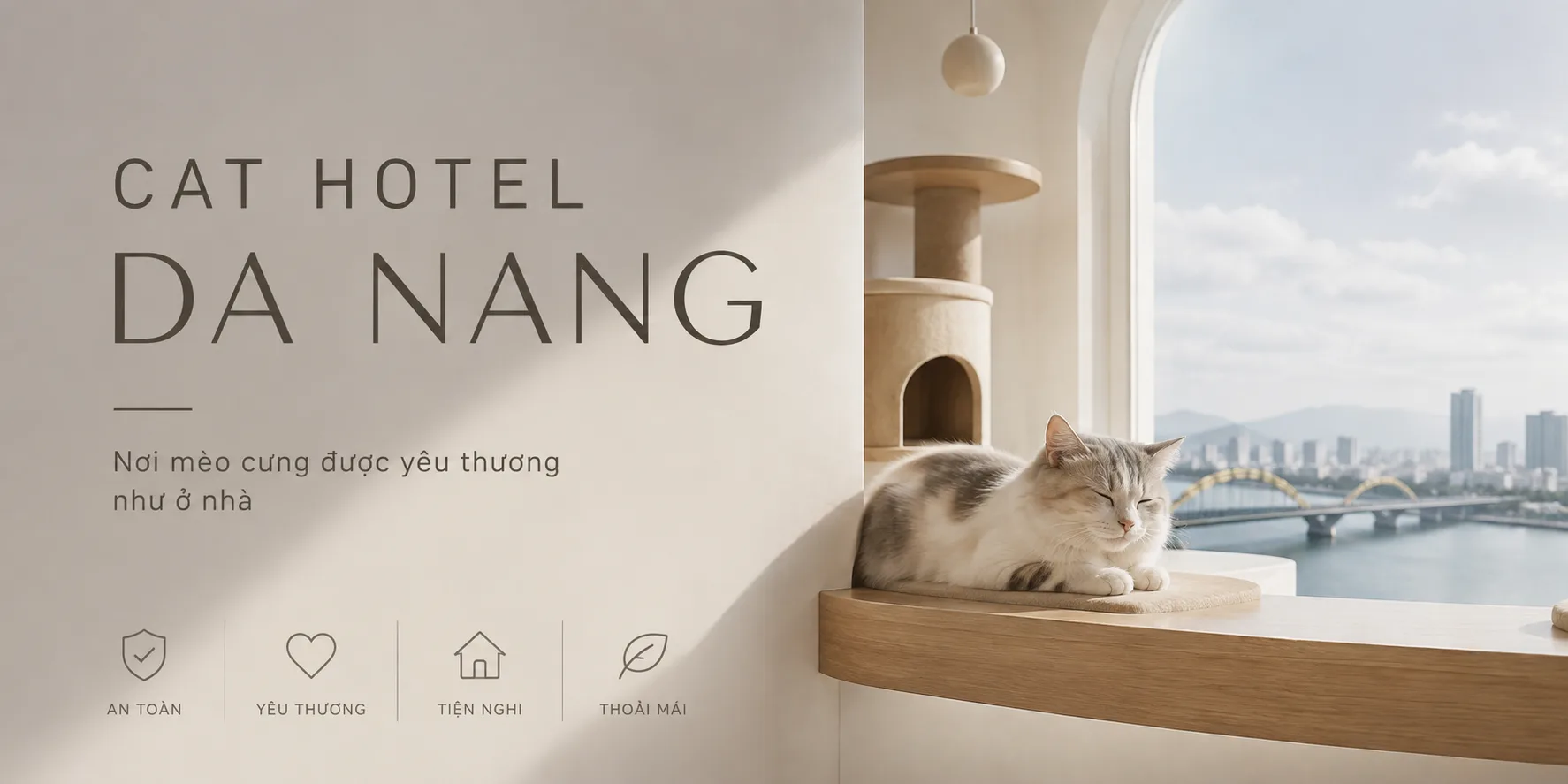 Cat Hotel Da Nang: Kinh nghiệm chọn khách sạn mèo an toàn, phù hợp