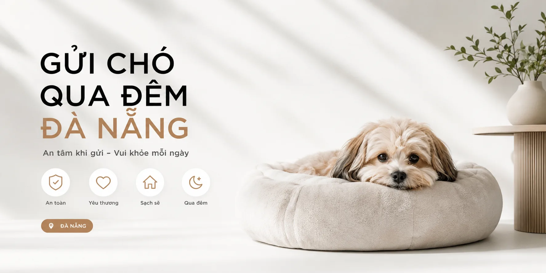 Gửi chó qua đêm Đà Nẵng: Kinh nghiệm chọn nơi an toàn và phù hợp