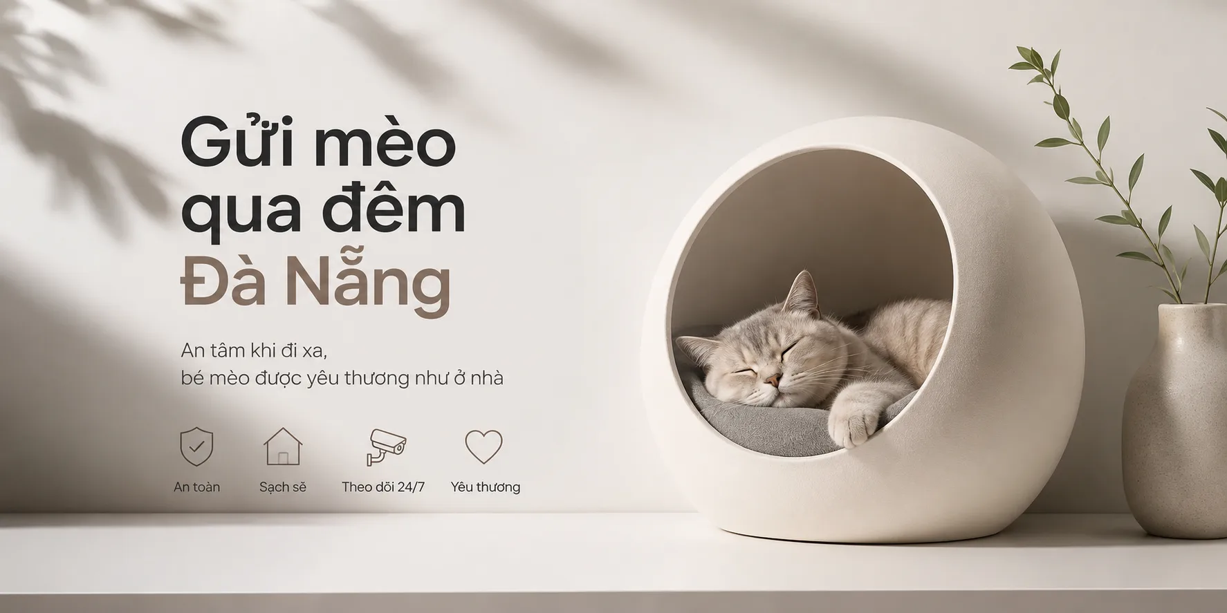 Gửi mèo qua đêm Đà Nẵng: kinh nghiệm chọn nơi an toàn và phù hợp cho mèo