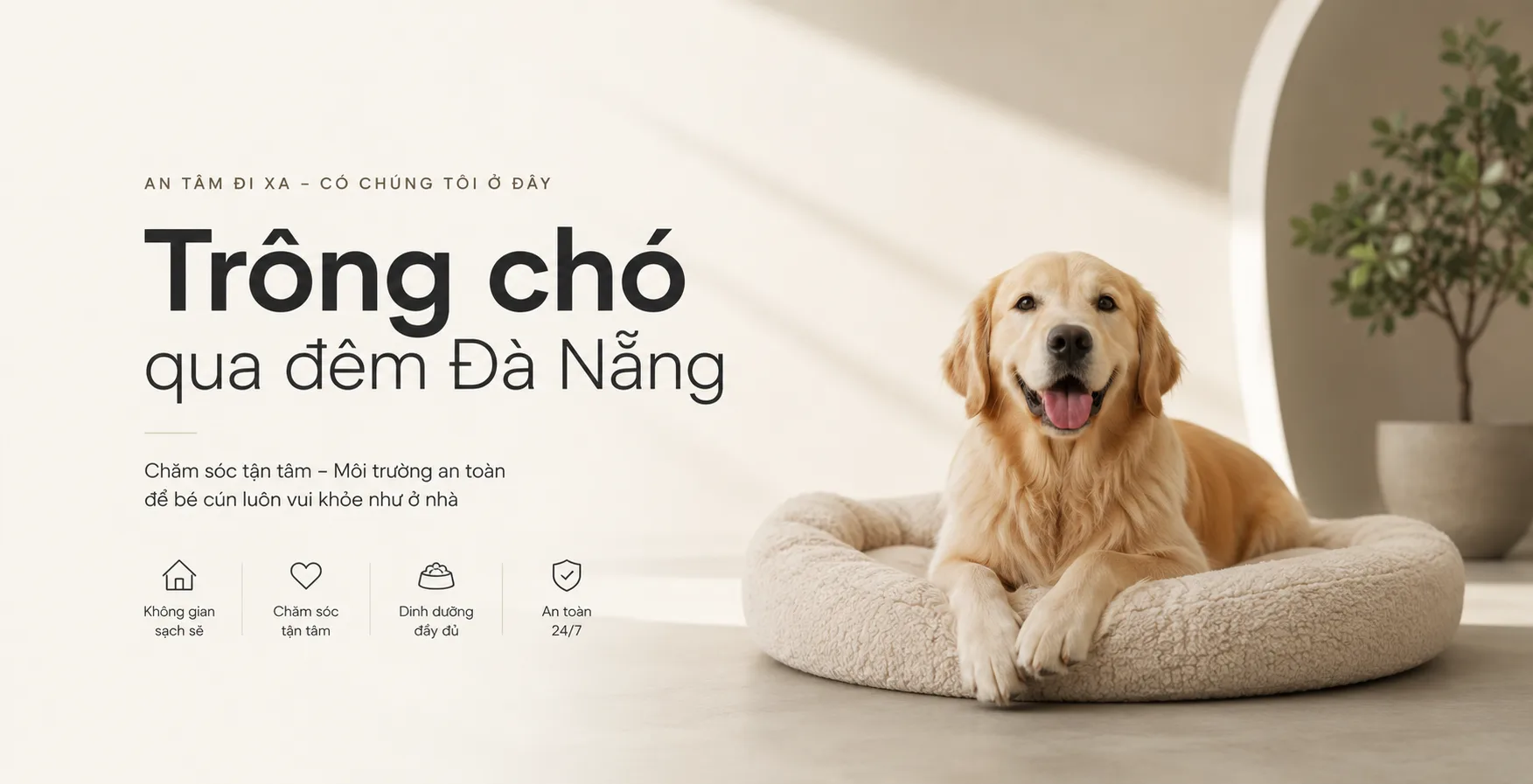 Trông chó qua đêm Đà Nẵng: Kinh nghiệm chọn nơi gửi an toàn và phù hợp