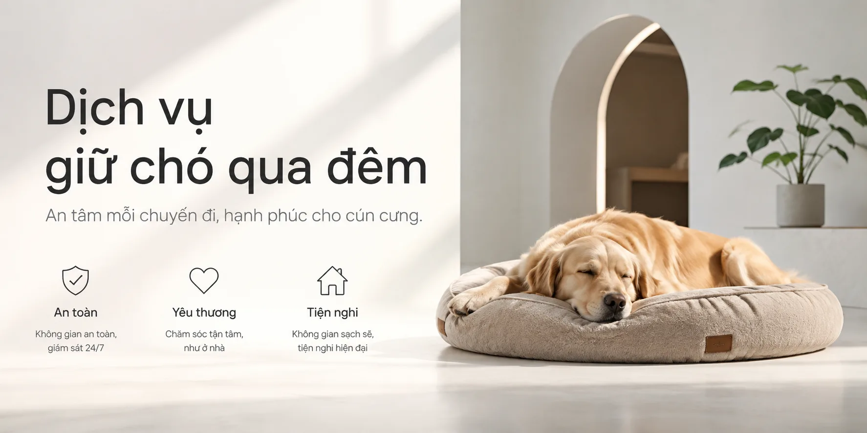 Dịch vụ giữ chó qua đêm: Kinh nghiệm chọn nơi an toàn, sạch sẽ và phù hợp cho thú cưng