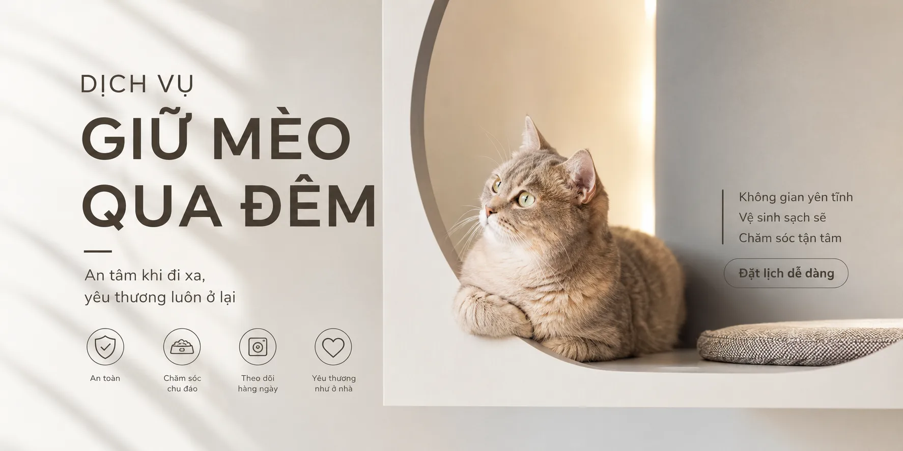 Dịch vụ giữ mèo qua đêm: Kinh nghiệm chọn nơi gửi an toàn và phù hợp