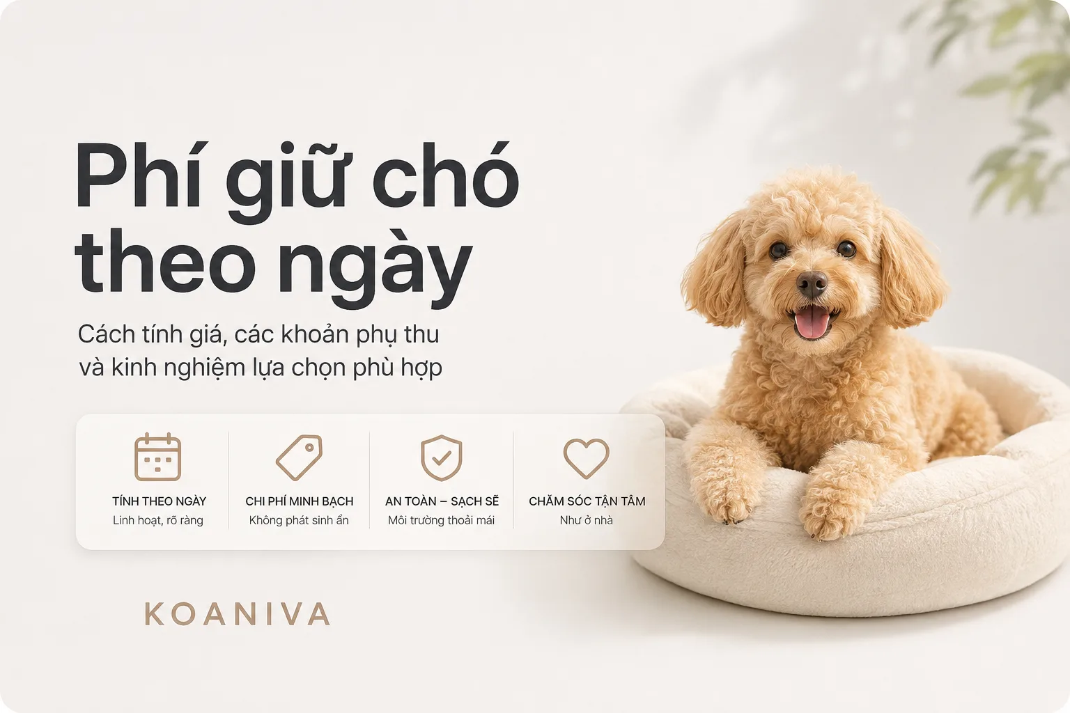 Phí Giữ Chó Theo Ngày Bao Nhiêu? Cách Tính Giá & Các Khoản Phụ Thu