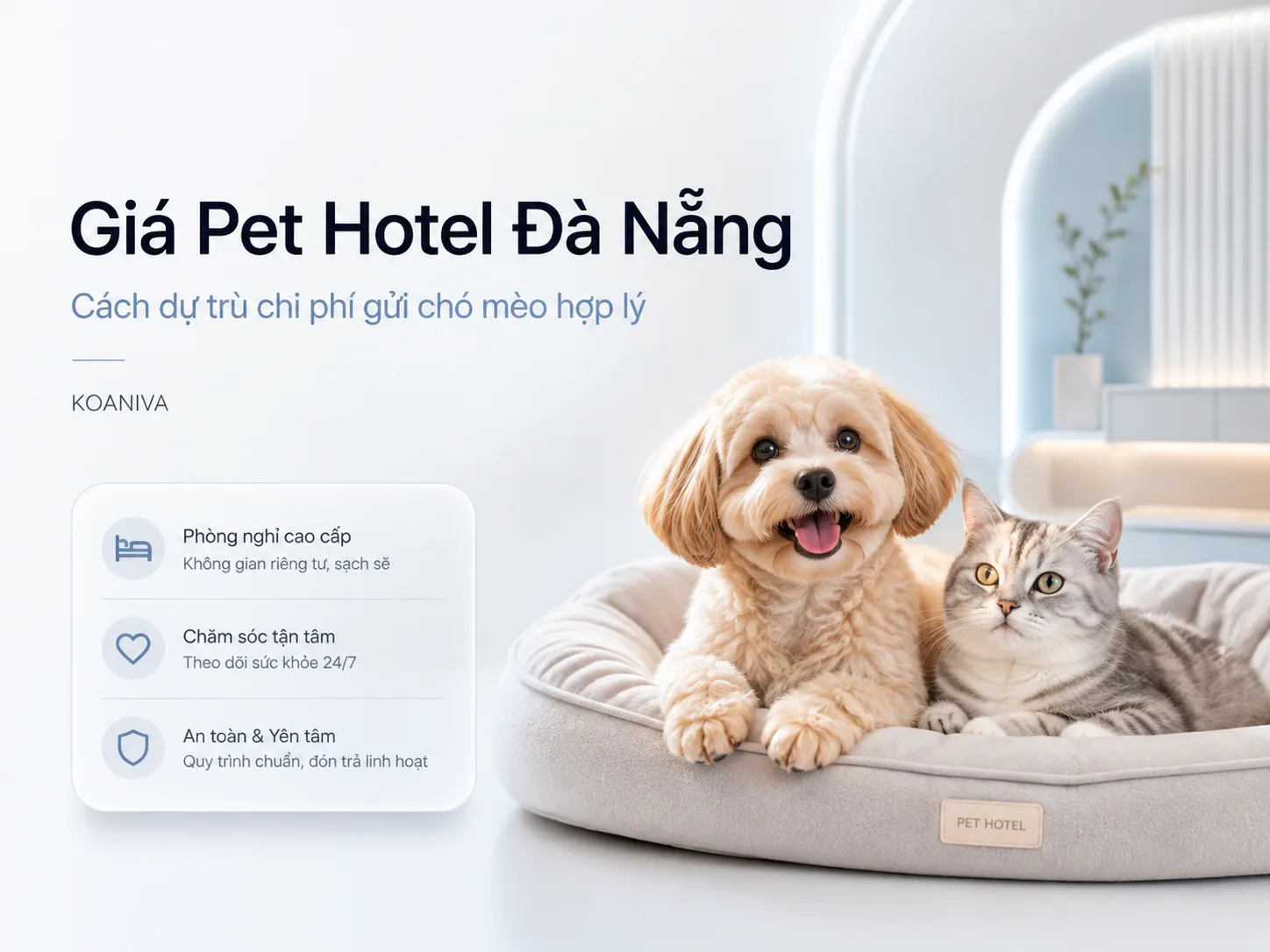 Giá Pet Hotel Đà Nẵng: Bảng Giá & Kinh Nghiệm Gửi Chó Mèo