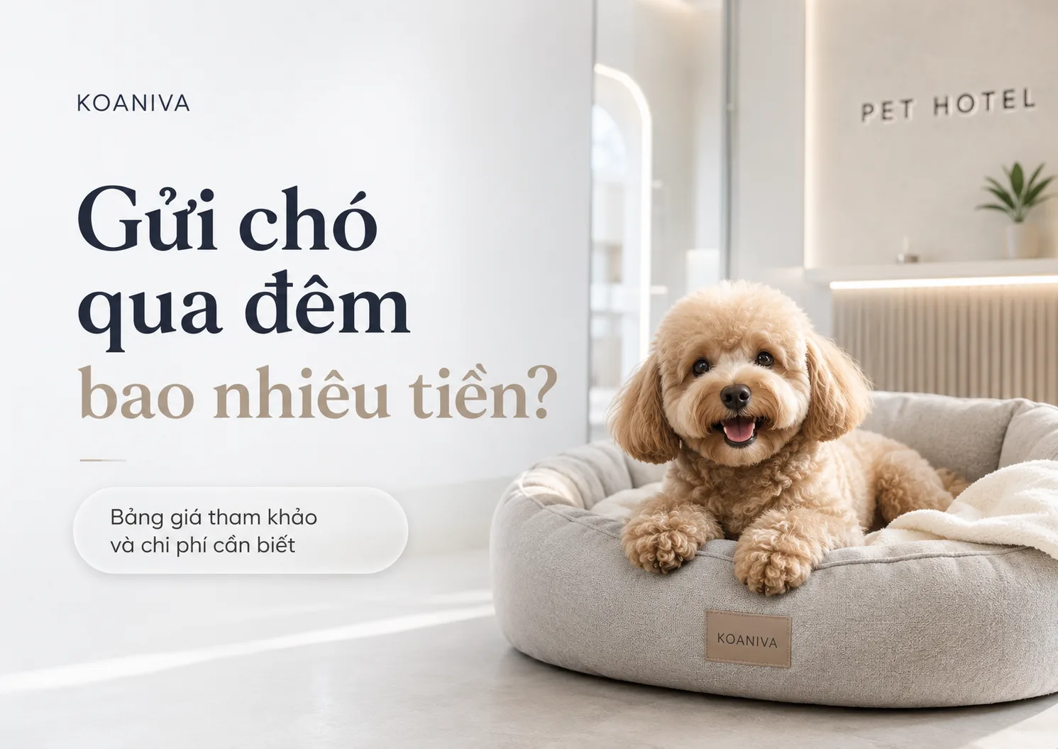 Gửi Chó Qua Đêm Bao Nhiêu Tiền? Bảng Giá & Chi Phí Cần Biết