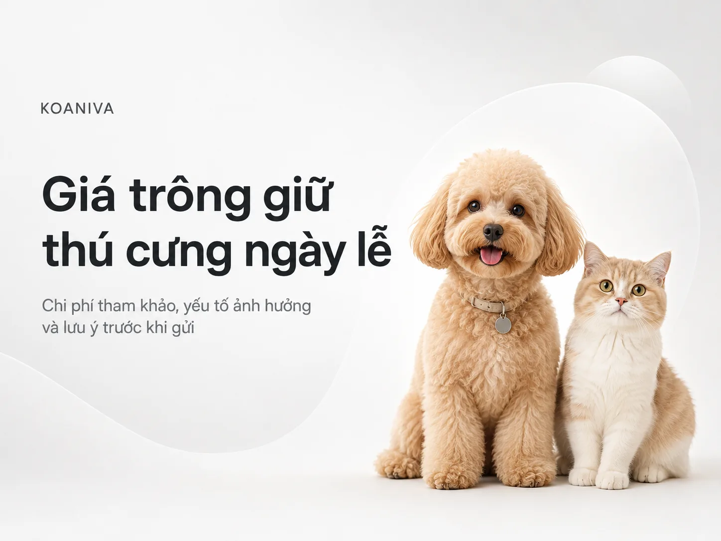 Giá Trông Giữ Thú Cưng Ngày Lễ Bao Nhiêu? Bảng Giá & Lưu Ý