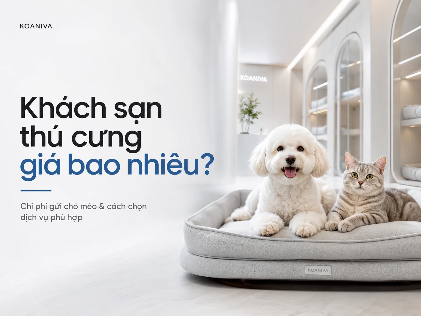 Khách sạn thú cưng giá bao nhiêu? Bảng giá và chi phí cần biết