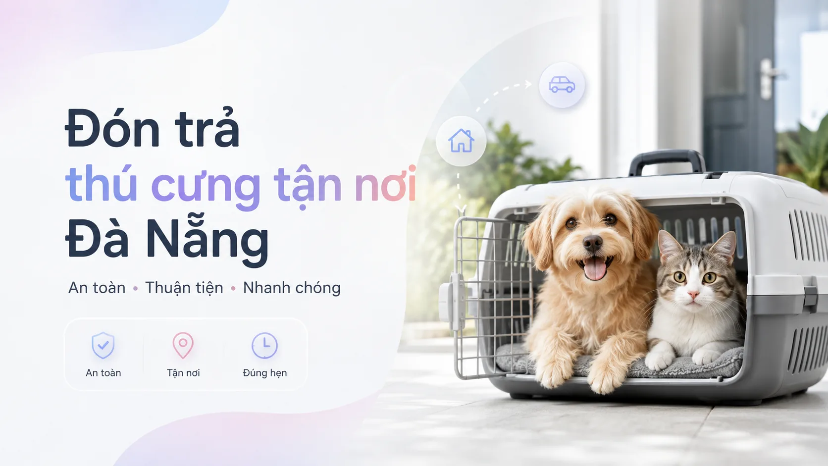 Đón trả thú cưng tận nơi Đà Nẵng: hướng dẫn chọn dịch vụ an toàn, thuận tiện
