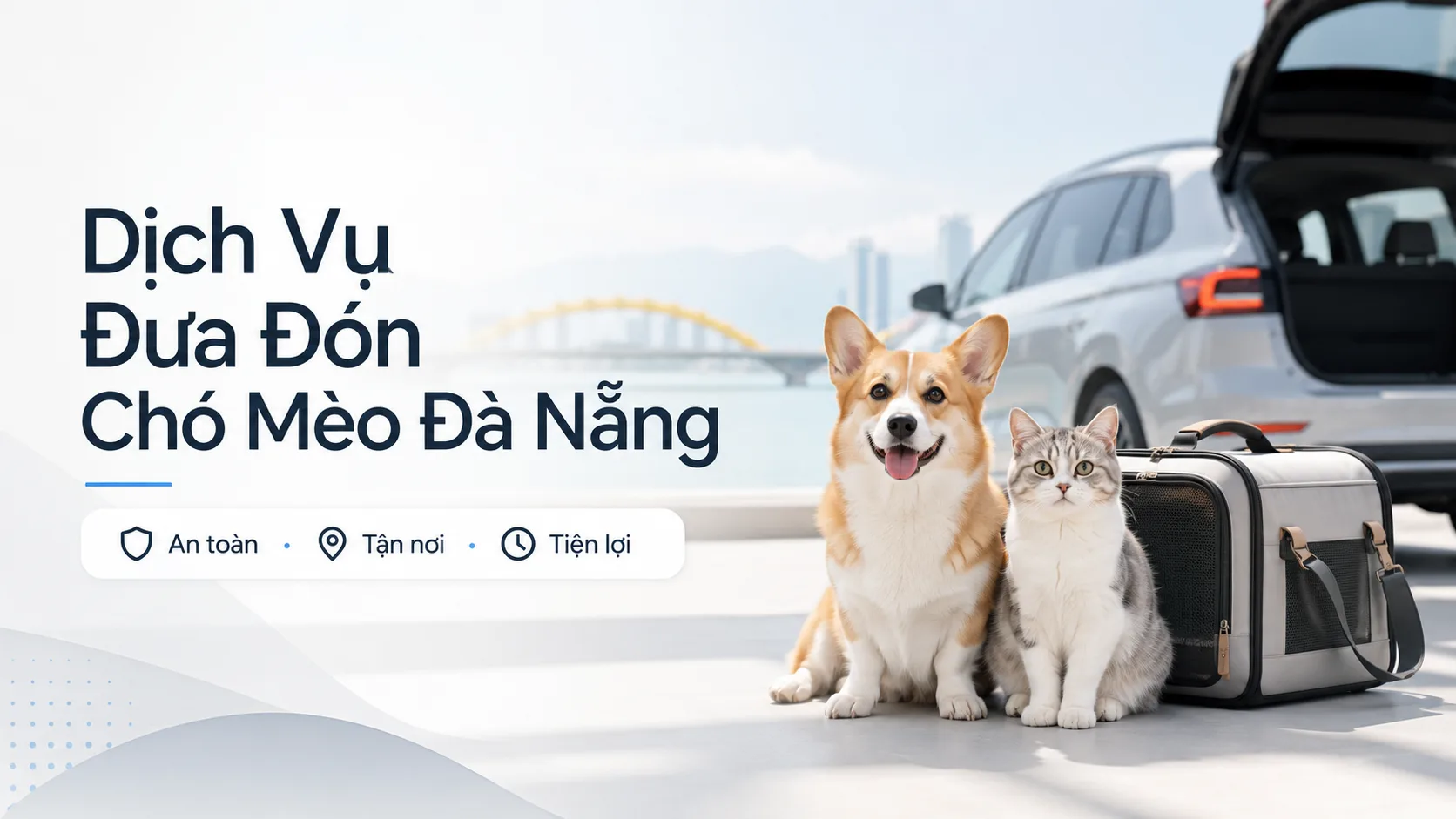 Dịch vụ đưa đón chó mèo Đà Nẵng: cách chọn xe an toàn, tiện lợi và phù hợp
