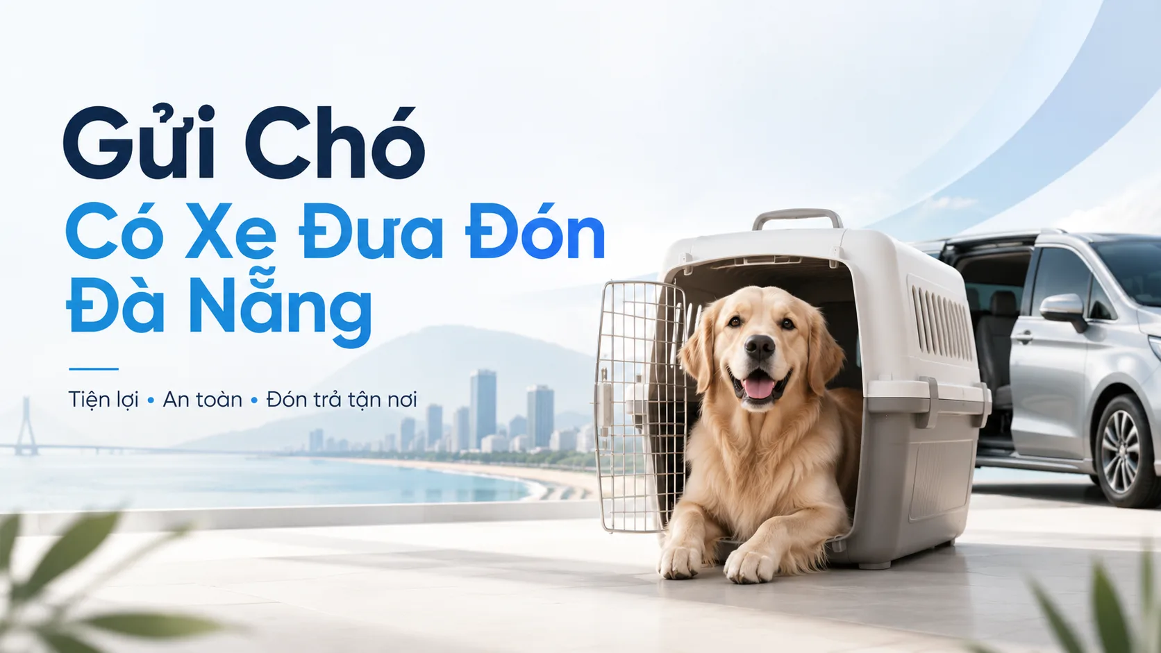 Gửi chó có xe đưa đón Đà Nẵng: hướng dẫn chọn dịch vụ an toàn, tiện lợi