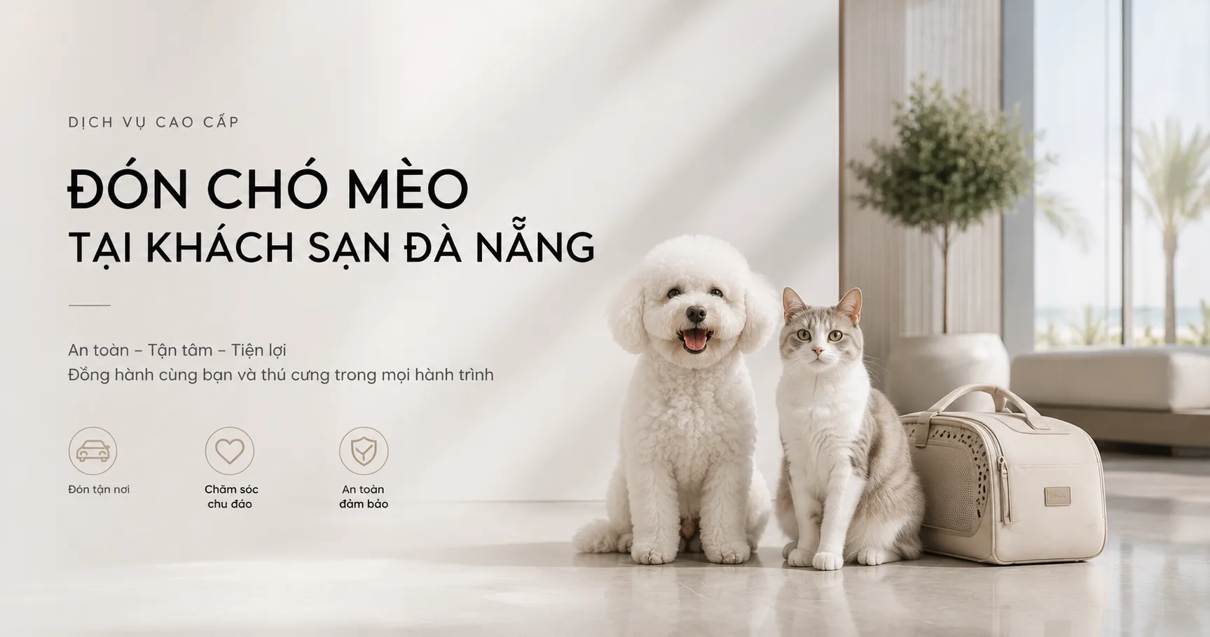 Đón chó mèo tại khách sạn Đà Nẵng: hướng dẫn lựa chọn dịch vụ an toàn và thuận tiện