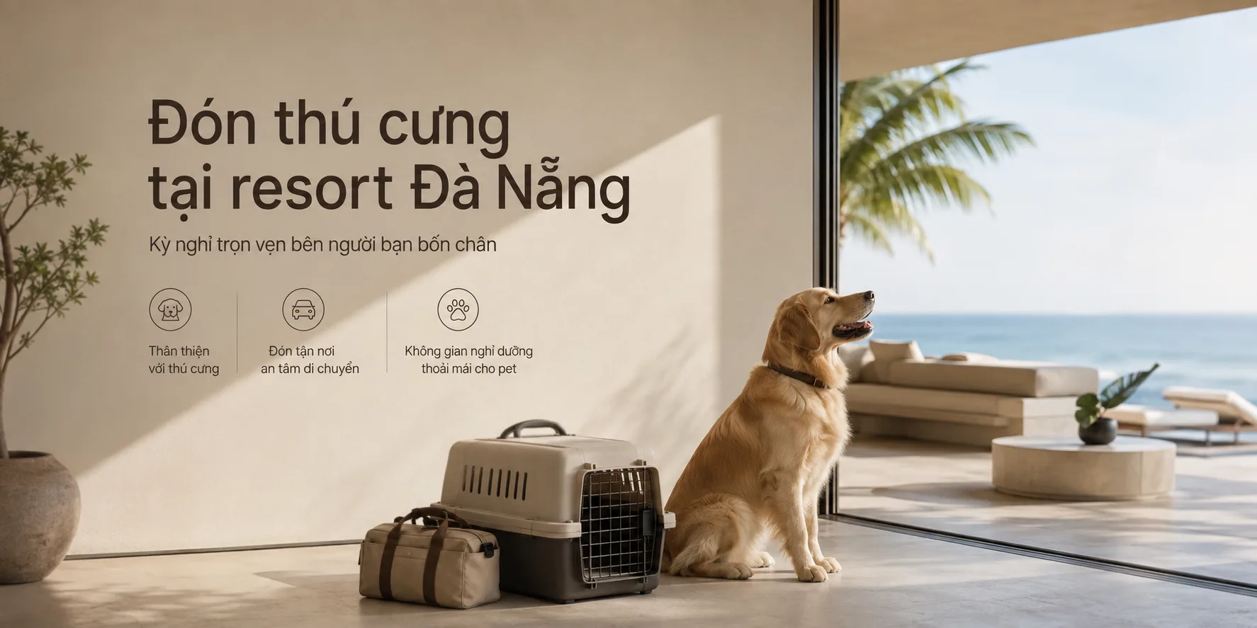 Đón thú cưng tại resort Đà Nẵng: Cách kiểm tra chính sách, xe đón và chi phí