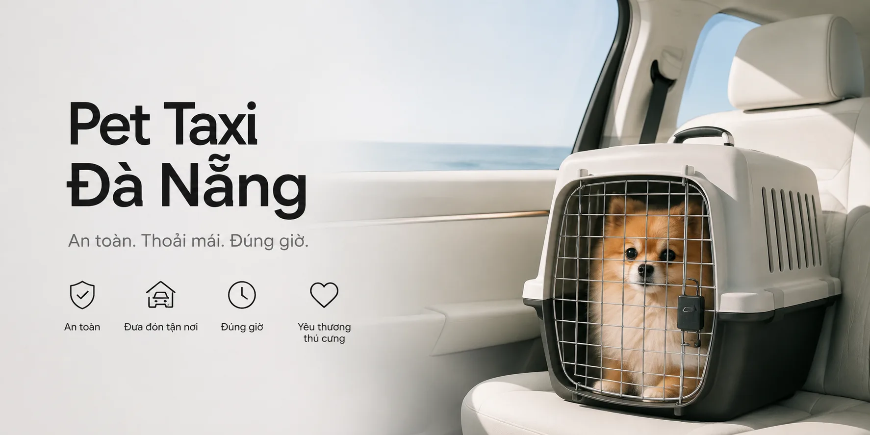 Pet taxi Đà Nẵng: hướng dẫn chọn xe đưa đón chó mèo an toàn