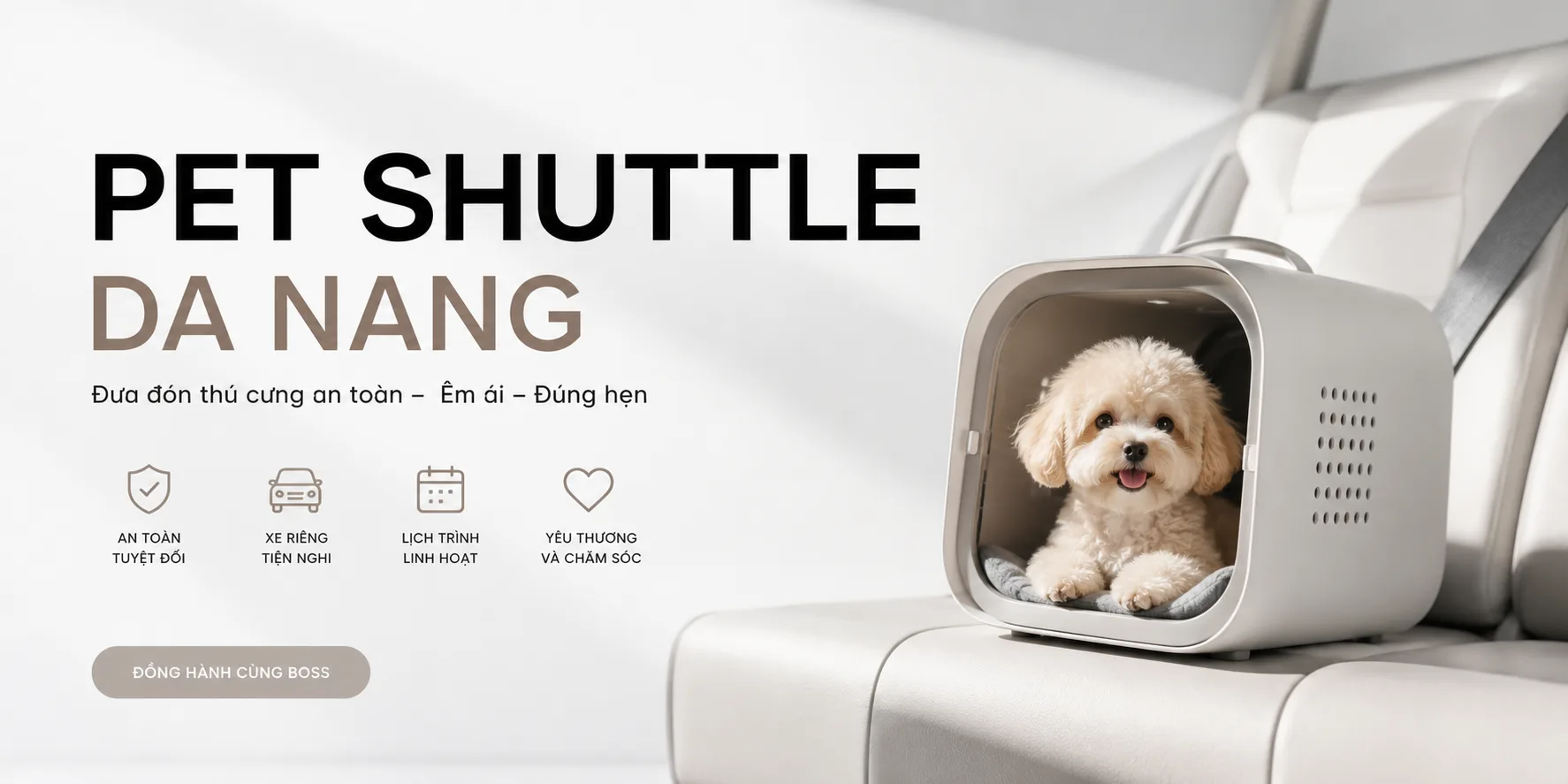 Pet Shuttle Da Nang: Hướng dẫn xe đưa đón thú cưng an toàn và phù hợp