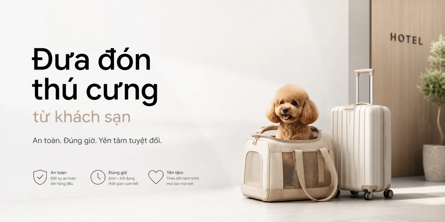 Đưa đón thú cưng từ khách sạn: Cách đặt xe, chuẩn bị và kiểm tra an toàn