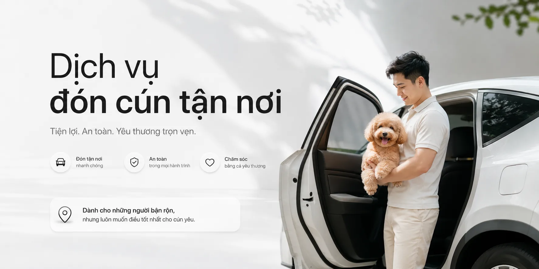 Dịch vụ đón cún tận nơi: Hướng dẫn đặt xe, chuẩn bị và bàn giao an toàn