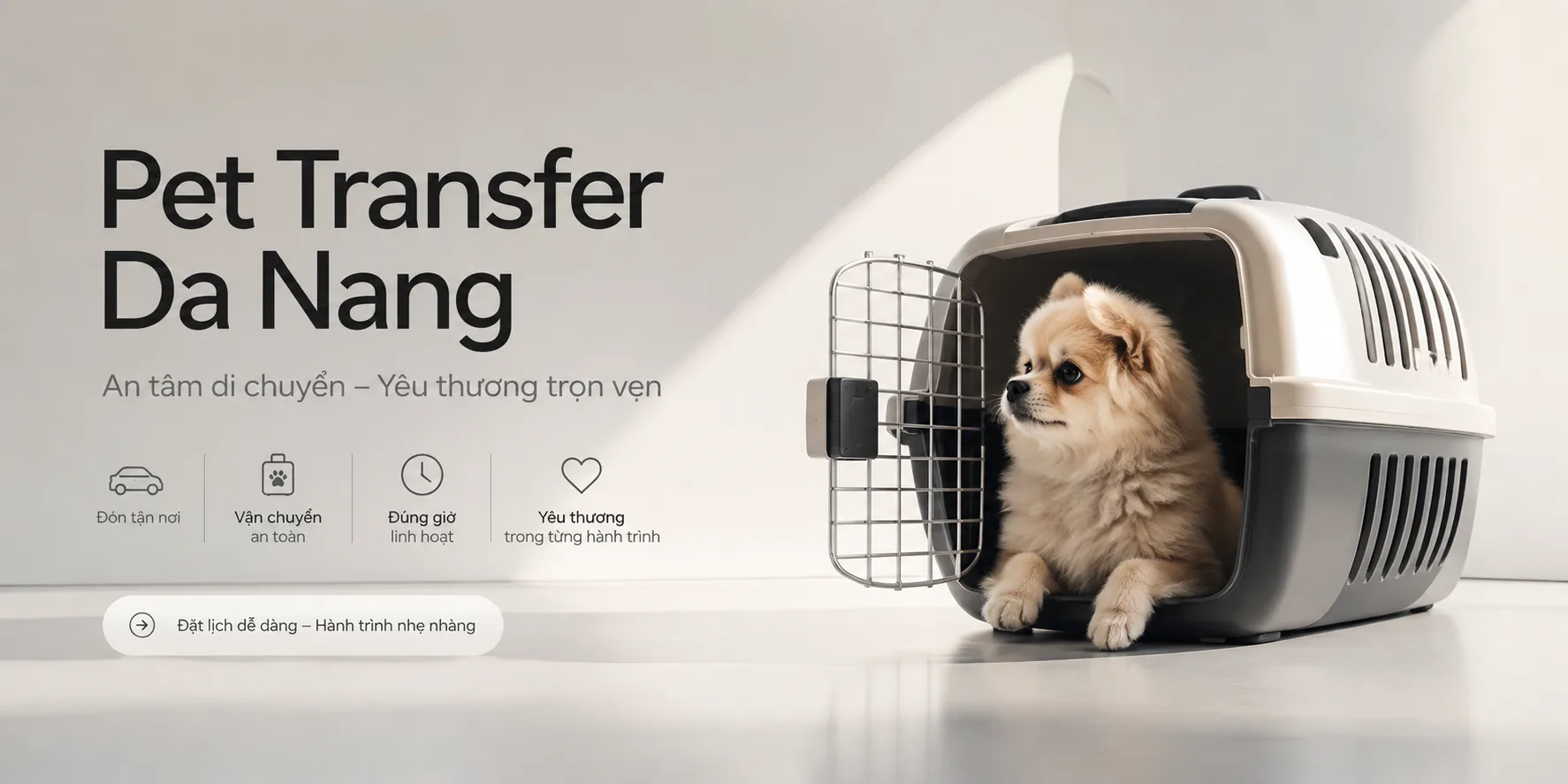 Pet Transfer Da Nang: Dịch vụ đón – trả thú cưng tại Đà Nẵng