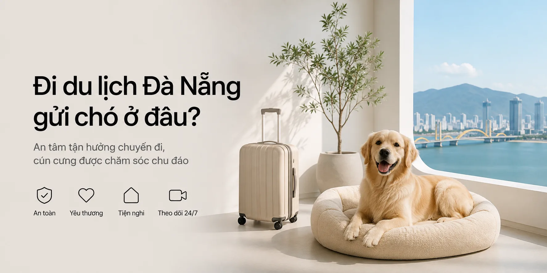 Đi du lịch Đà Nẵng gửi chó ở đâu? Kinh nghiệm chọn nơi trông cún an toàn