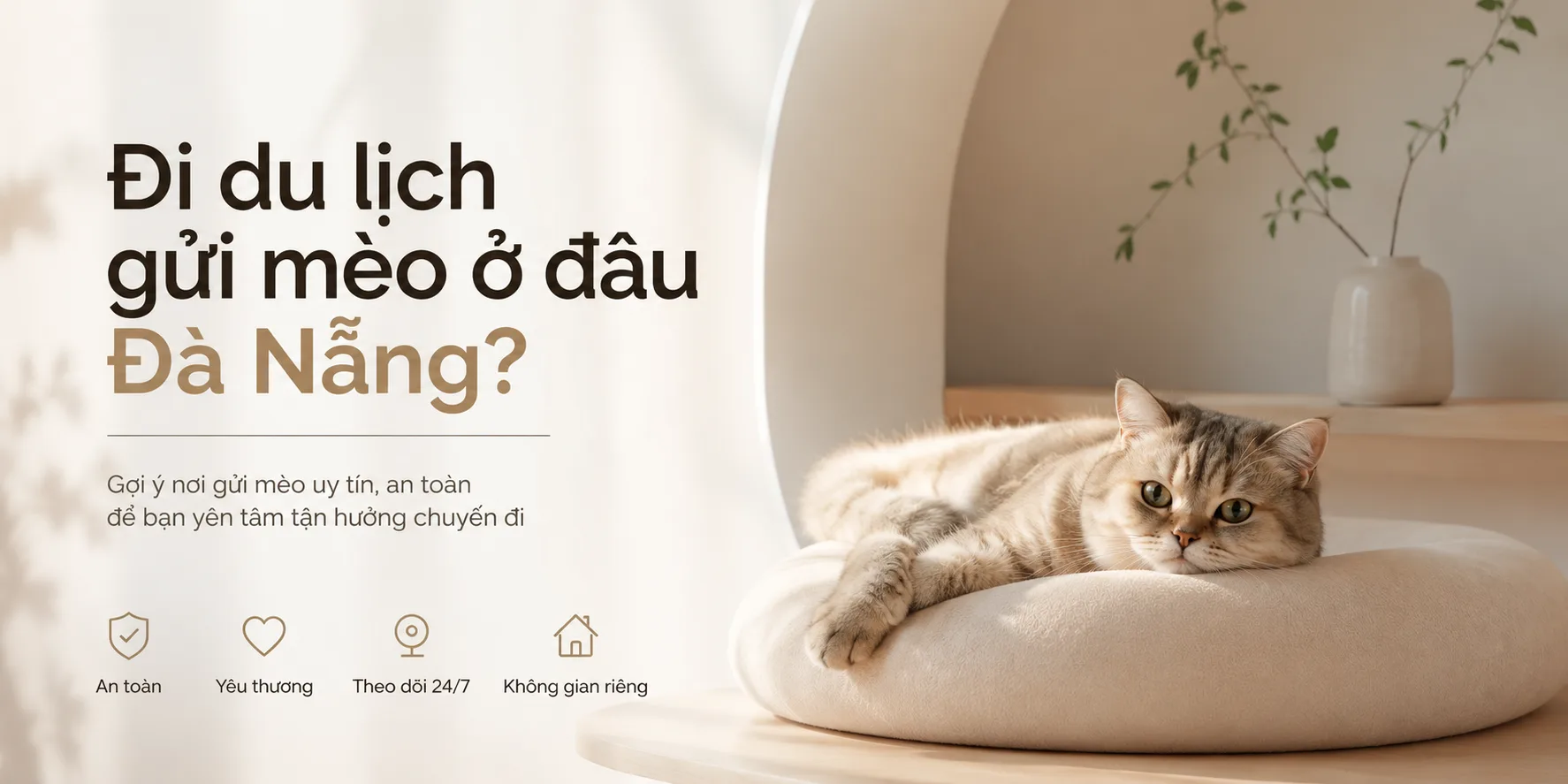 Đi du lịch gửi mèo ở đâu Đà Nẵng? Cách chọn nơi an toàn và phù hợp