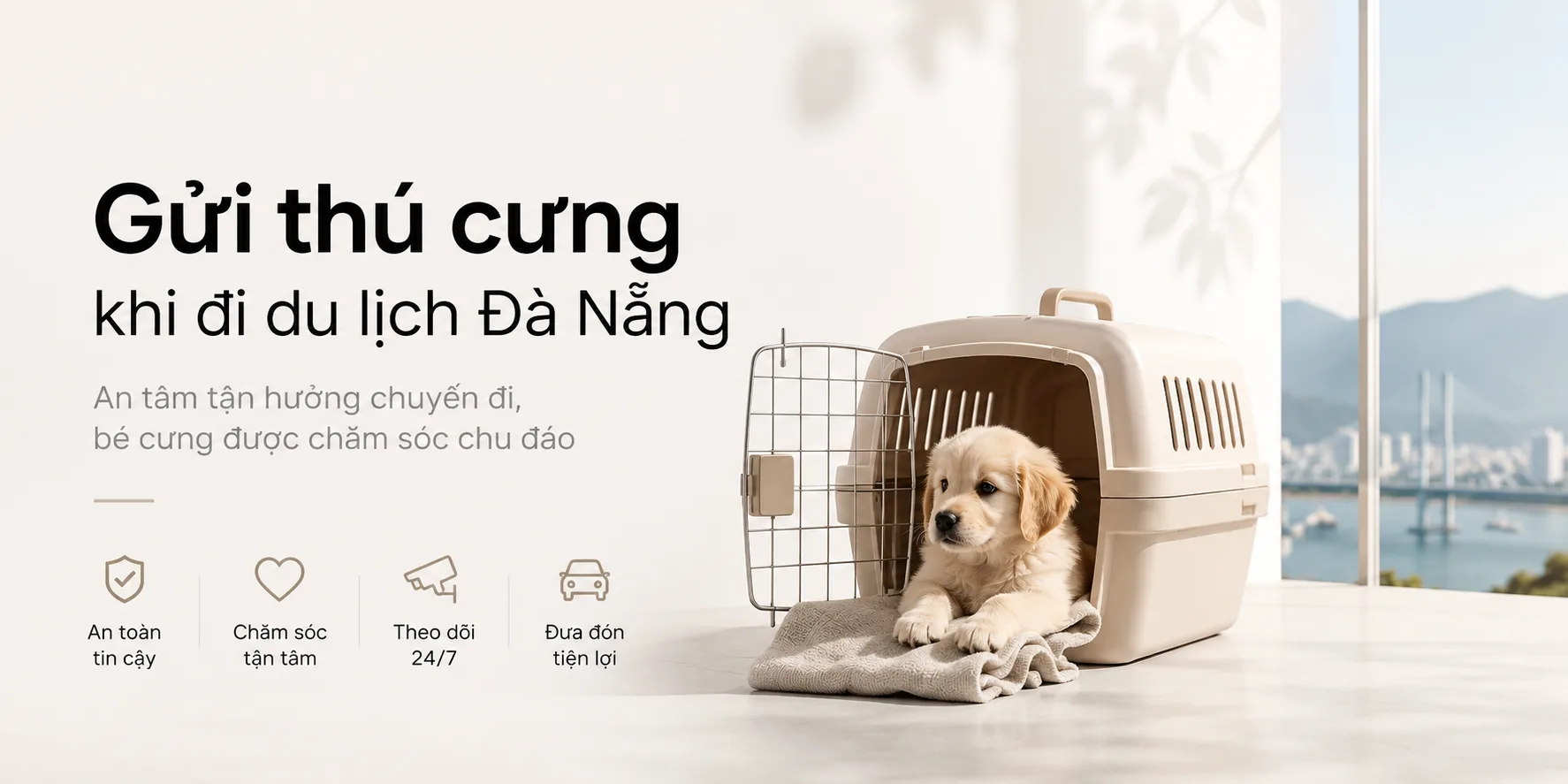 Gửi thú cưng khi đi du lịch Đà Nẵng: Cách chọn nơi chăm sóc chó mèo an tâm