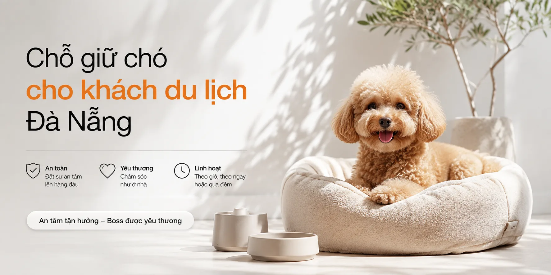 Chỗ giữ chó cho khách du lịch Đà Nẵng: cách chọn nơi an toàn và phù hợp cho cún