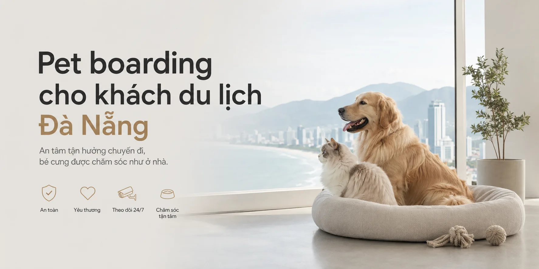 Pet boarding cho khách du lịch Đà Nẵng: Cách gửi chó mèo an toàn khi đi chơi
