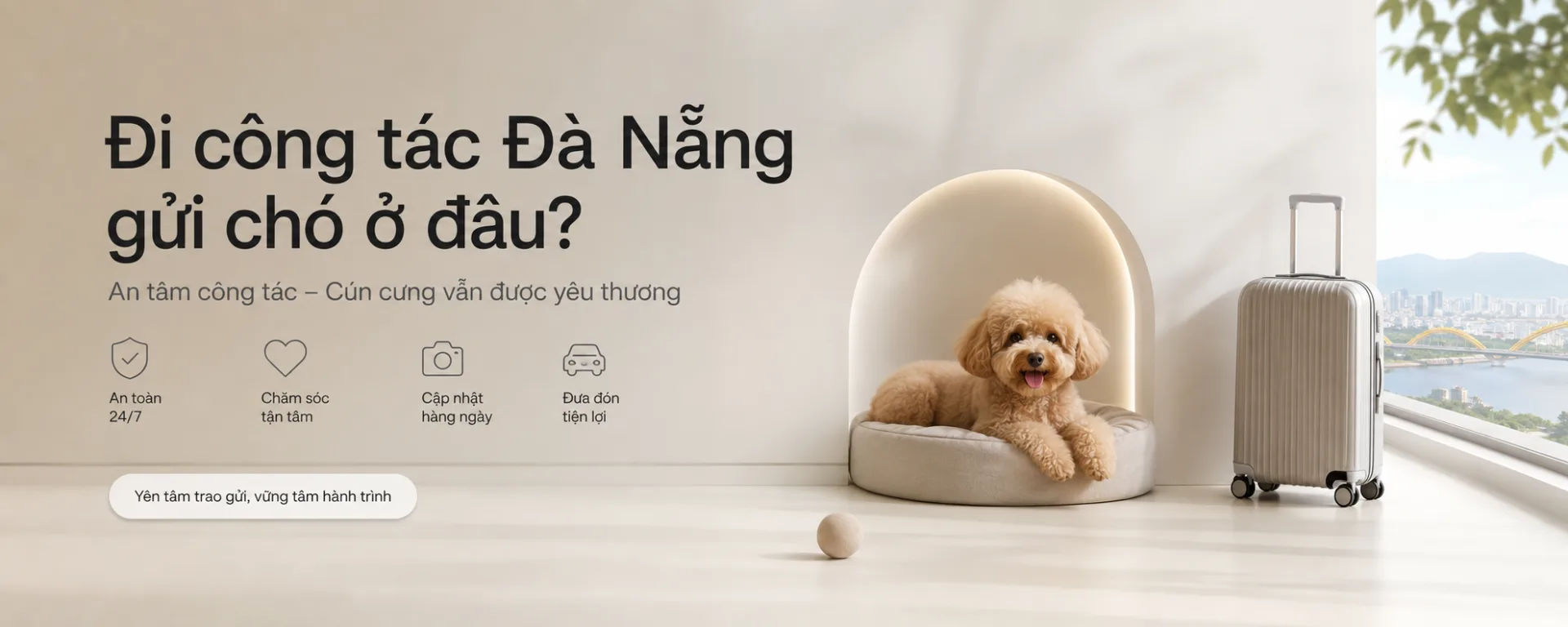 Đi công tác Đà Nẵng gửi chó ở đâu? Hướng dẫn chọn nơi an toàn, tiện đưa đón