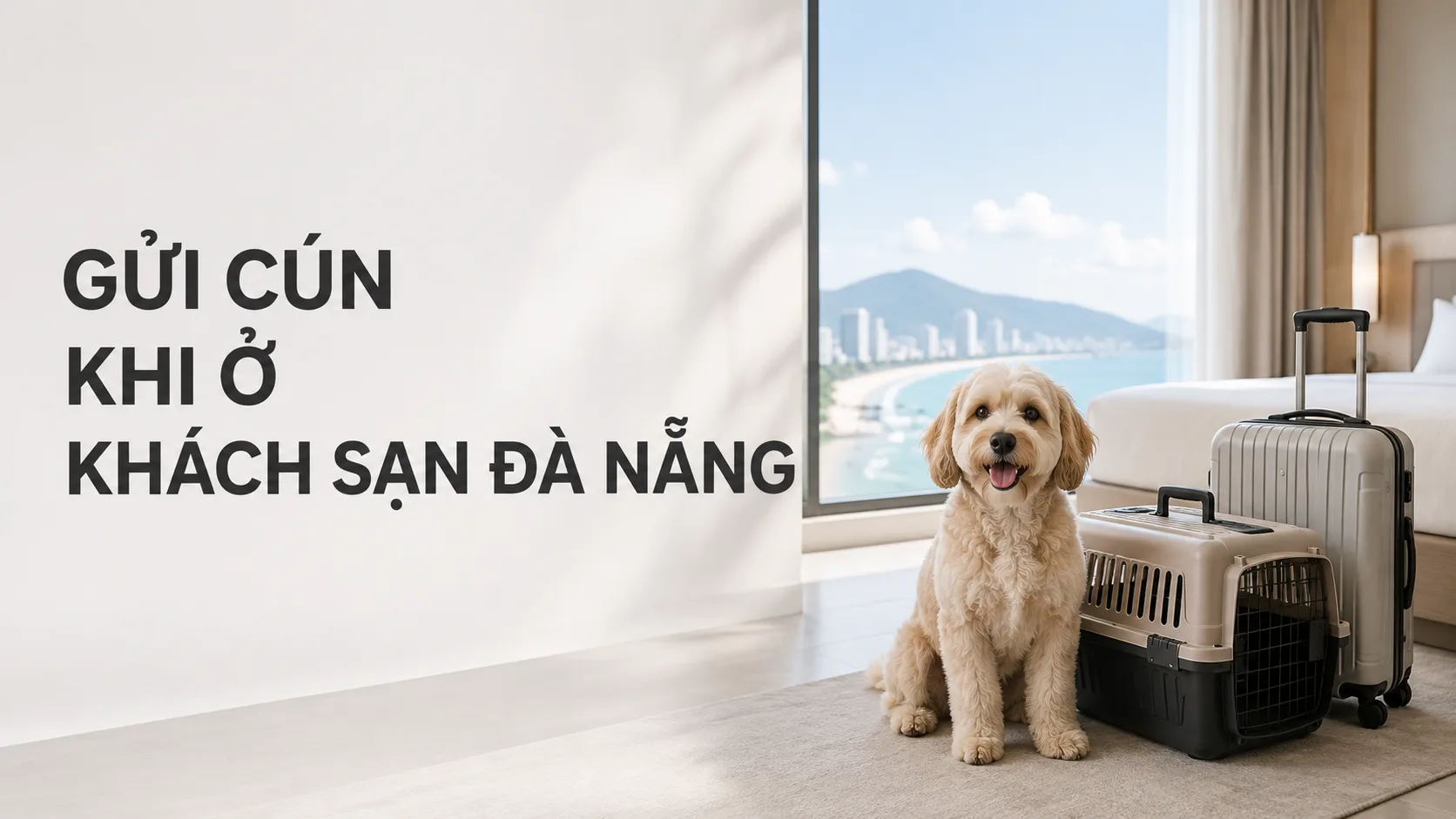 Gửi cún khi ở khách sạn Đà Nẵng: hướng dẫn an toàn, thuận tiện