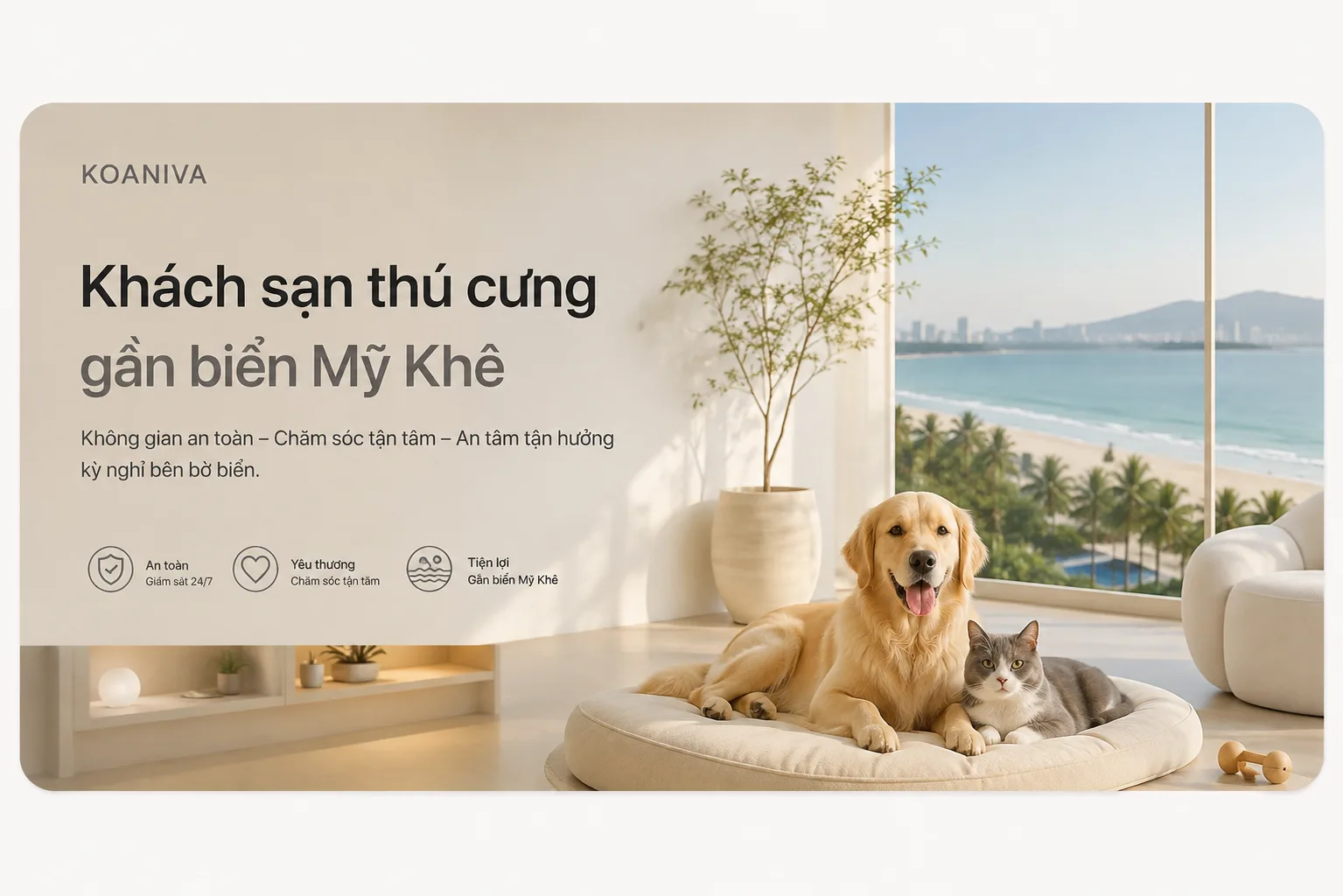 Khách sạn thú cưng gần biển Mỹ Khê – Gửi chó mèo an toàn, tiện lợi