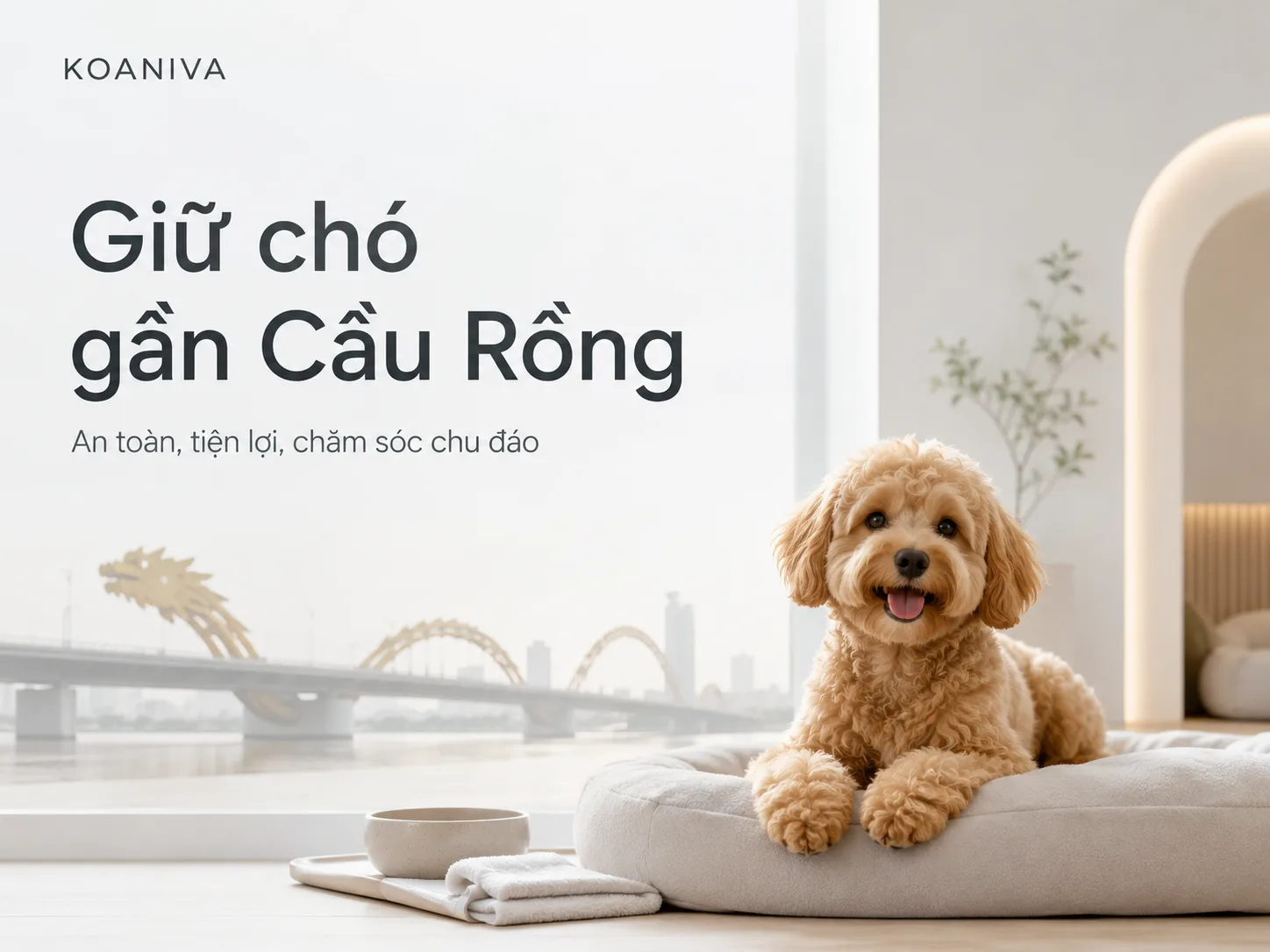 Giữ Chó Gần Cầu Rồng Đà Nẵng An Toàn, Tiện Lợi