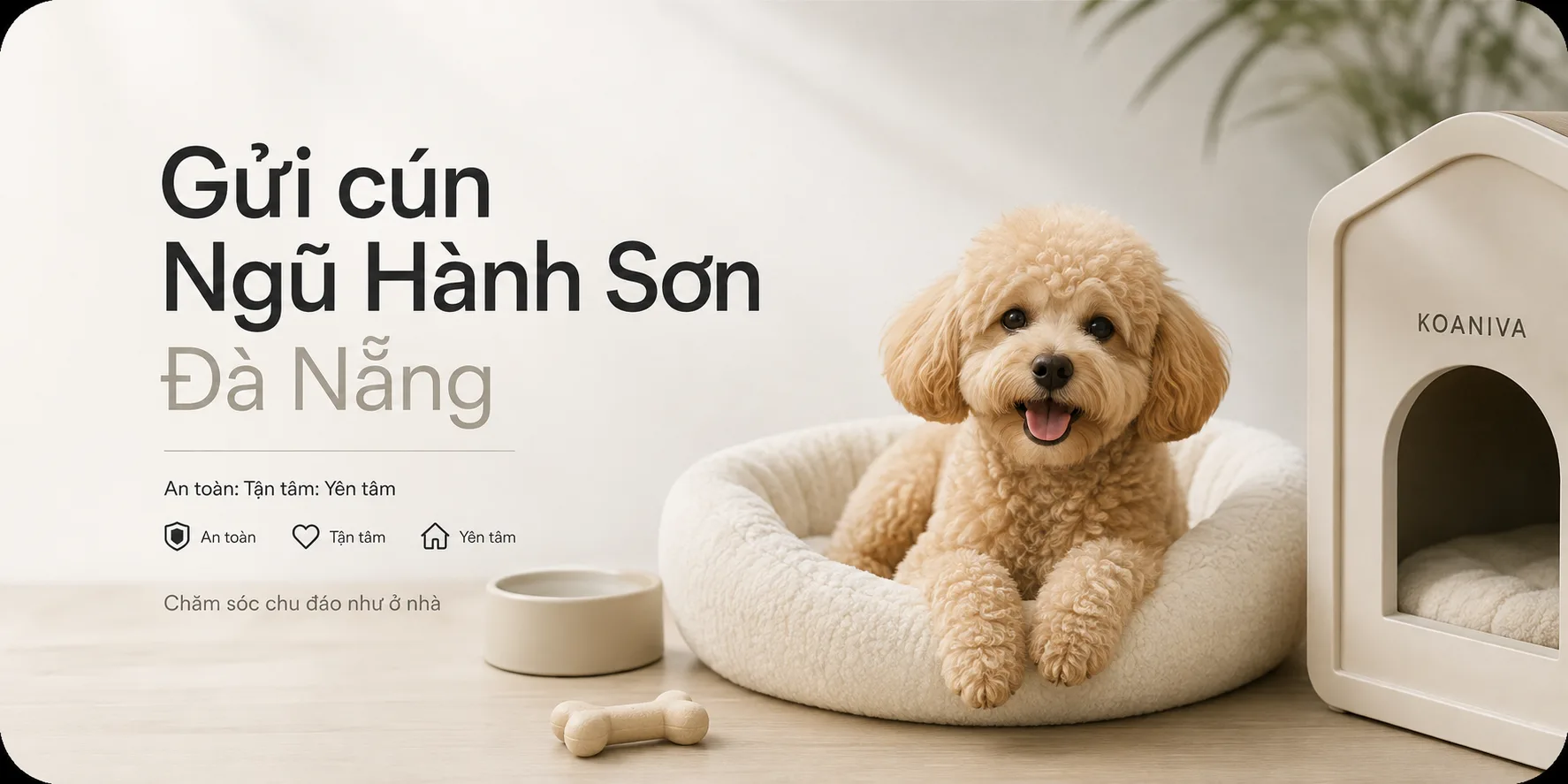 Gửi Cún Ngũ Hành Sơn Đà Nẵng: An Toàn, Chăm Sóc Tận Tâm