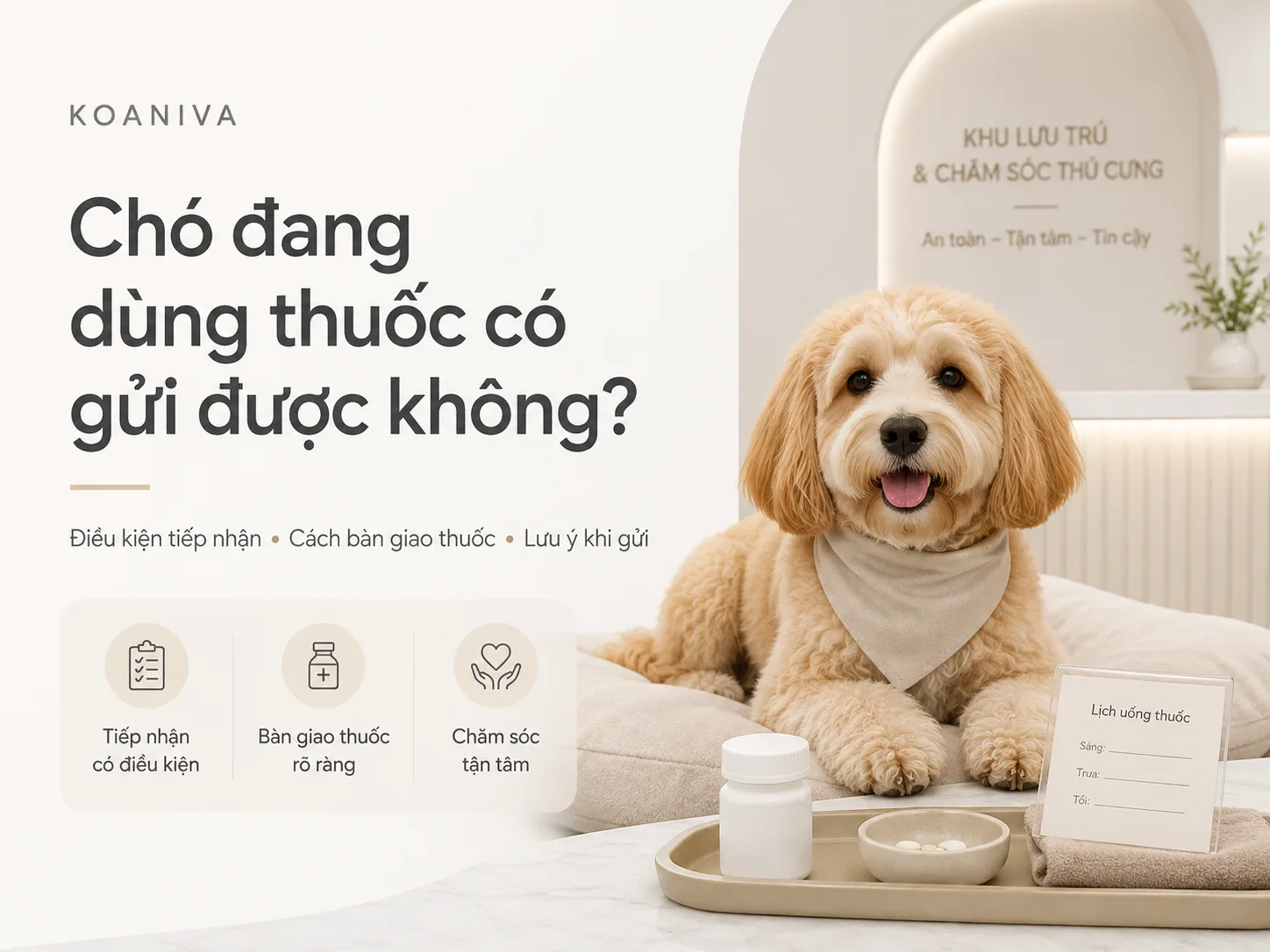 Chó đang dùng thuốc có gửi được không? Điều kiện cần biết trước khi gửi